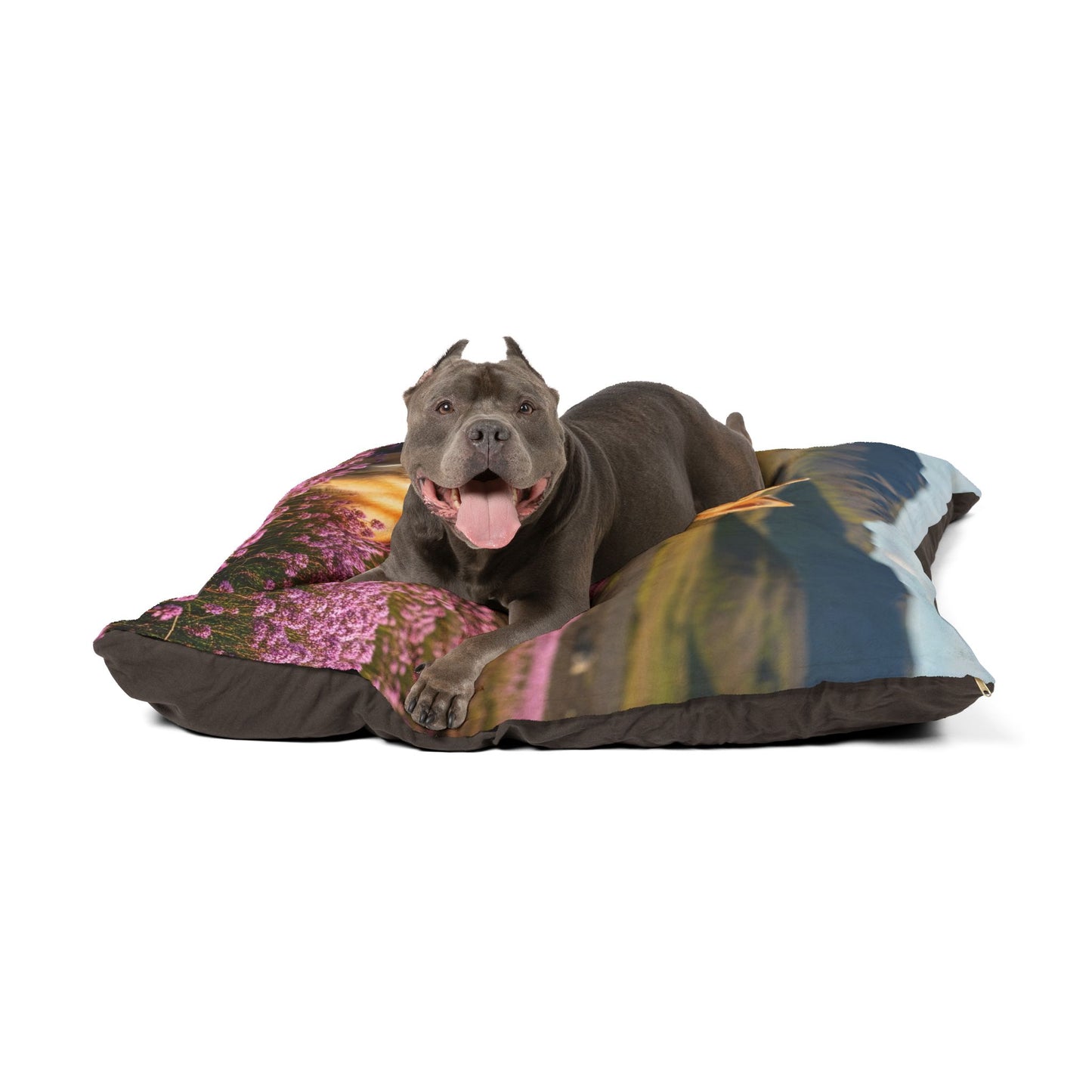 Icelandic Sheepdog Pet Bed