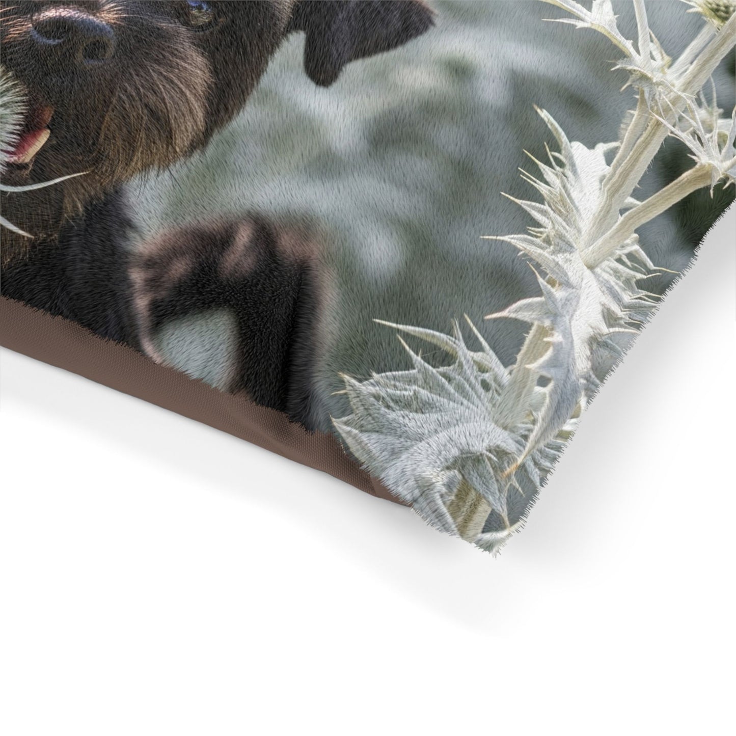 Affenpinscher Pet Bed