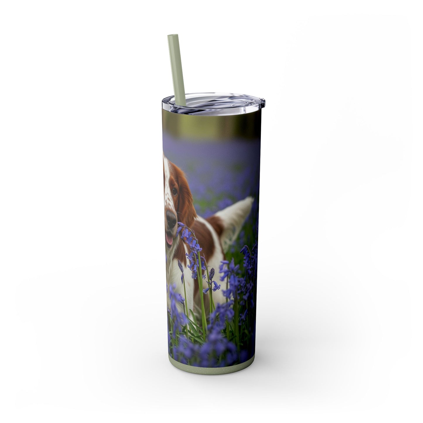 Welsh Springer Spaniel Skinny Tumbler with Straw, 20oz