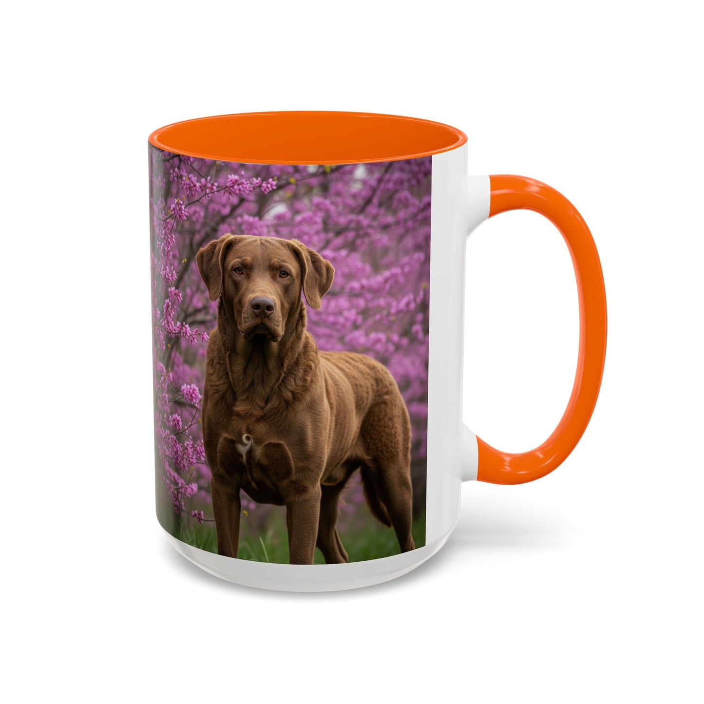 Chesapeake Bay Retriever Accent Coffee Mug - Perfect Gift for Dog Lovers
