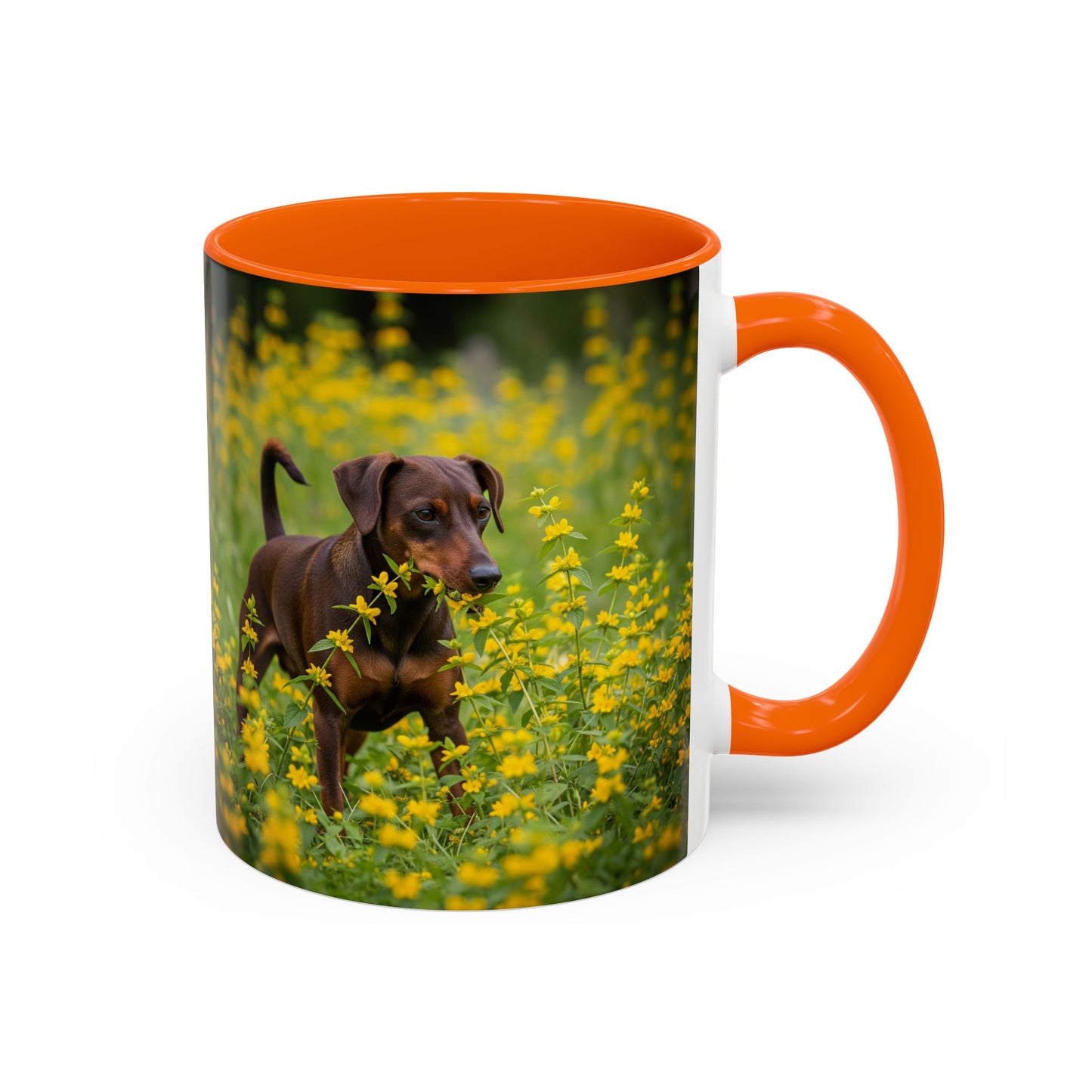 German Pinscher Accent Coffee Mug - Perfect Gift for Dog Lovers