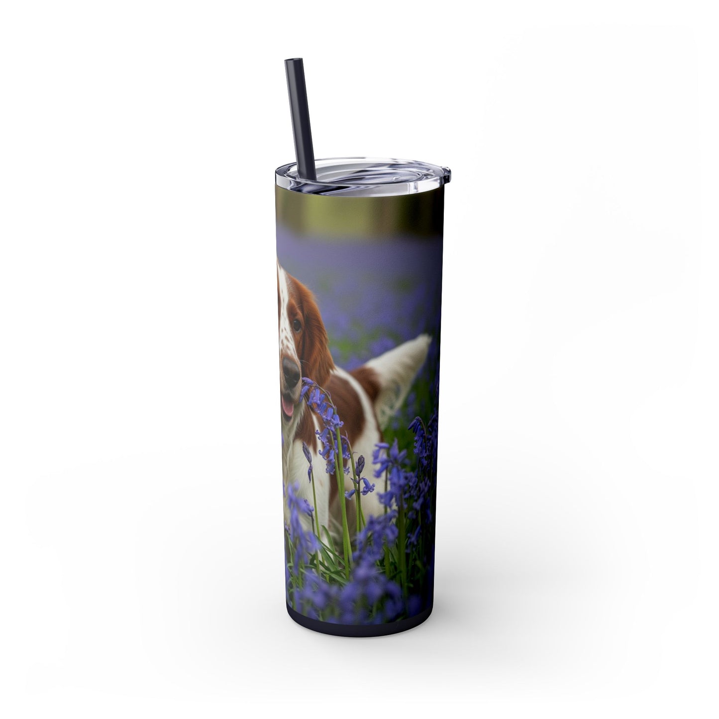 Welsh Springer Spaniel Skinny Tumbler with Straw, 20oz