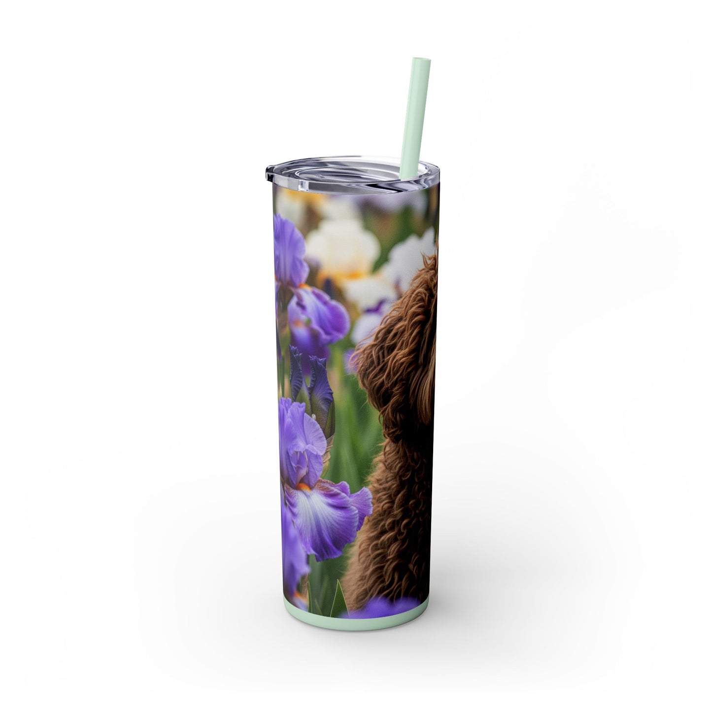 Barbet Skinny Tumbler with Straw, 20oz
