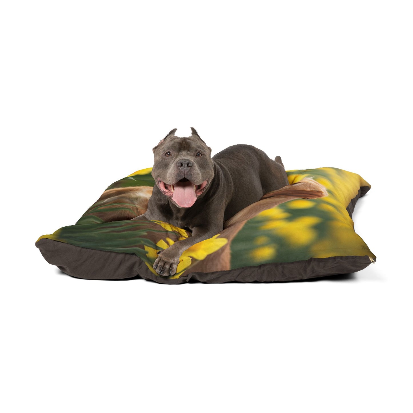 Portuguese Podengo Pequeno Pet Bed