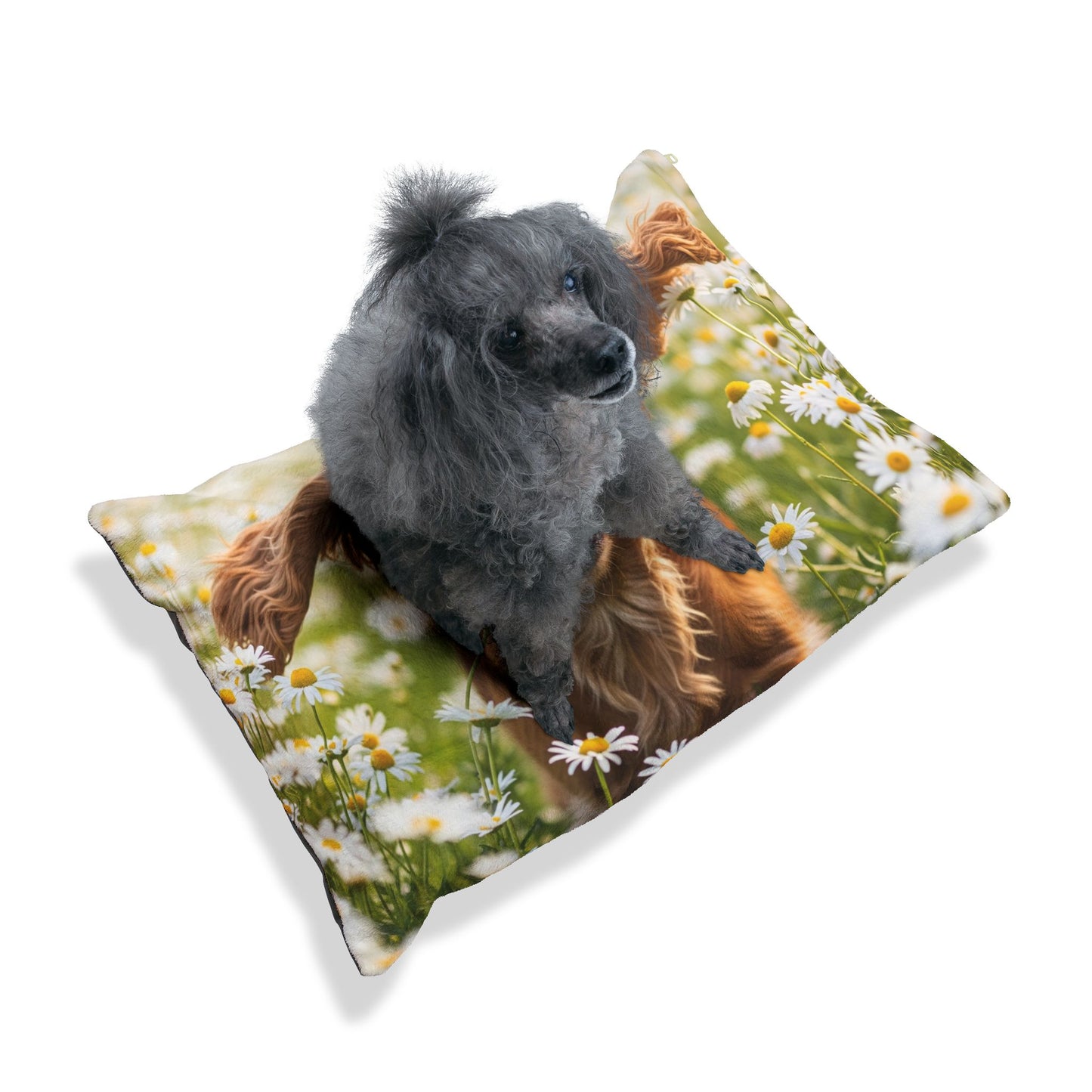 English Cocker Spaniel Pet Bed