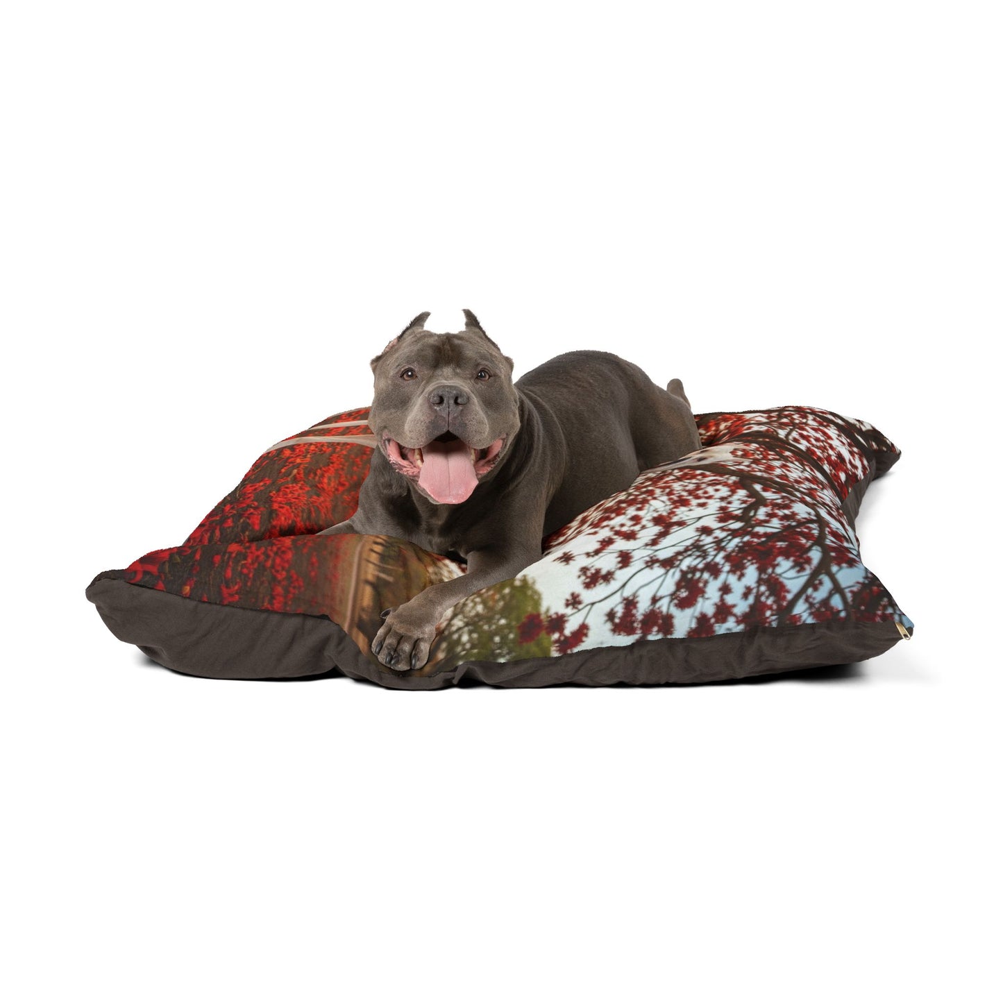 Dogo Argentino Pet Bed