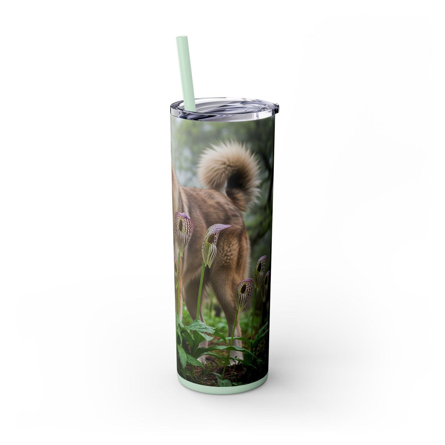 Bakharwal Tumbler with Straw, 20oz