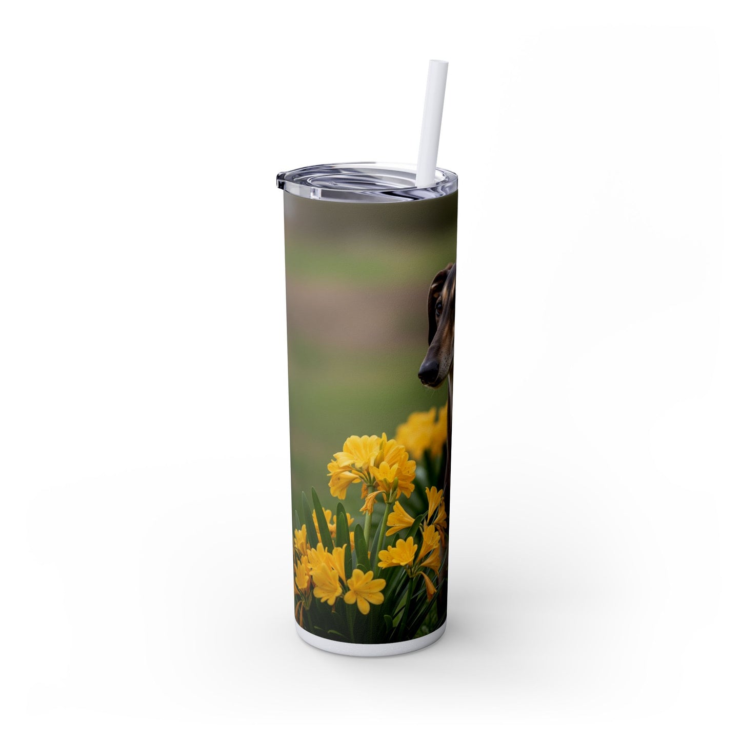 Sloughi Skinny Tumbler with Straw, 20oz