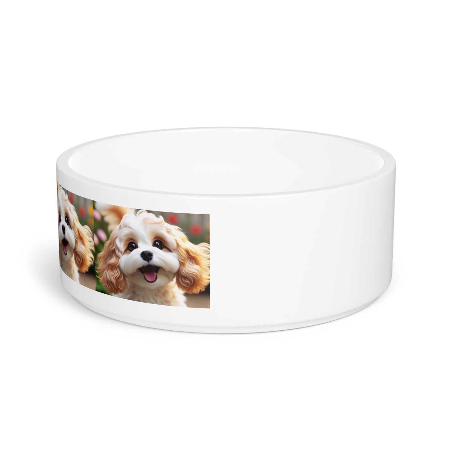 Cavachon Pet Bowl