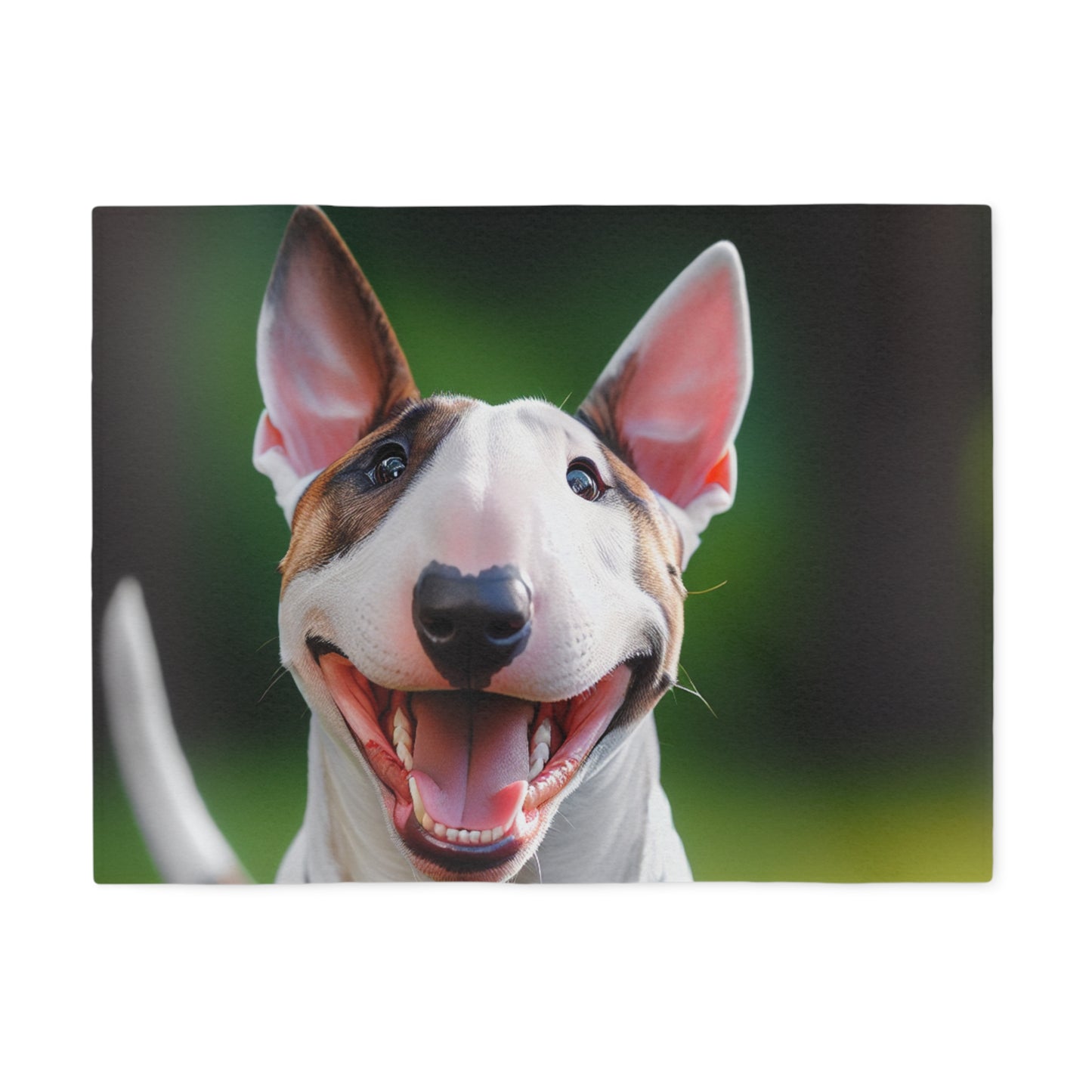 Bull Terrier Sweatshirt Blanket