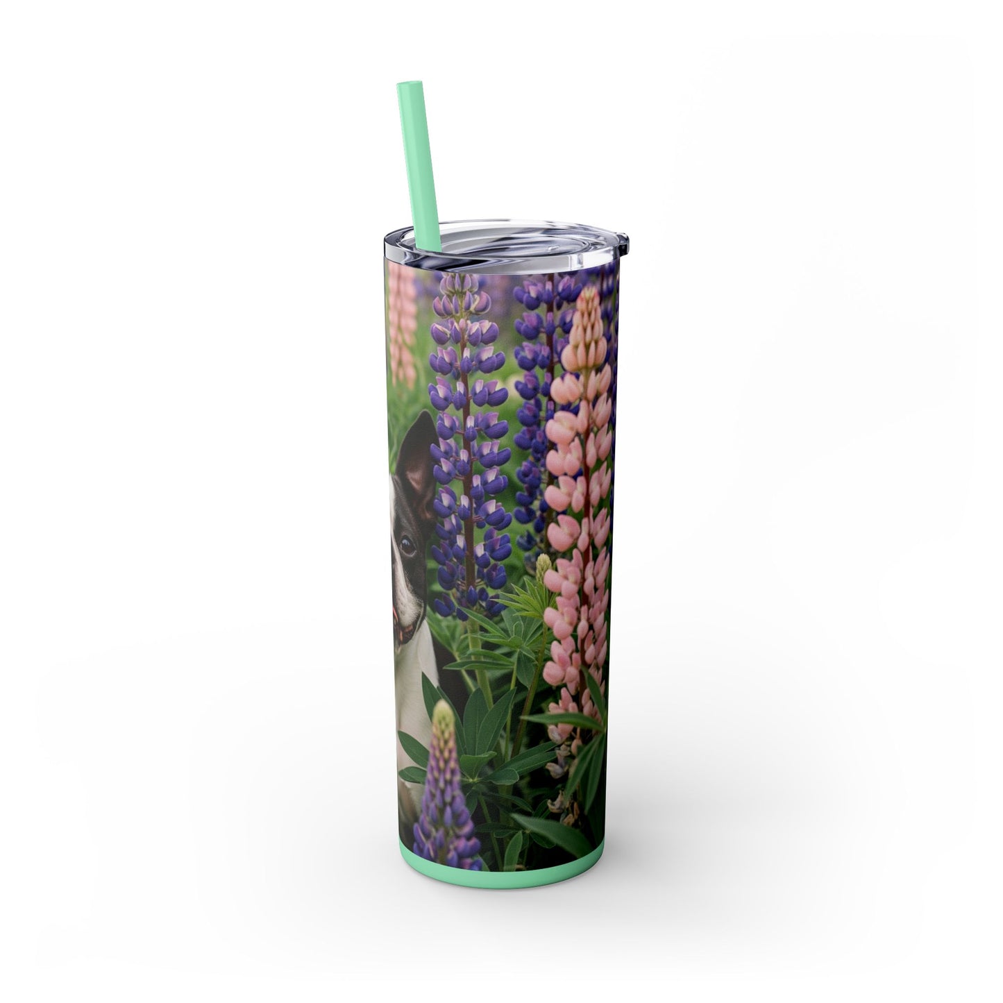 Boston Terrier Tumbler with Straw, 20oz