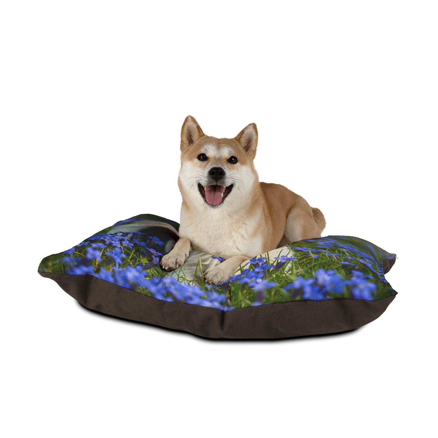 Biewer Terrier Pet Bed