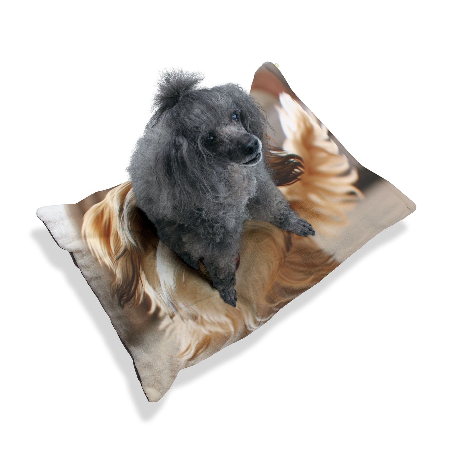 Morkie Pet Bed