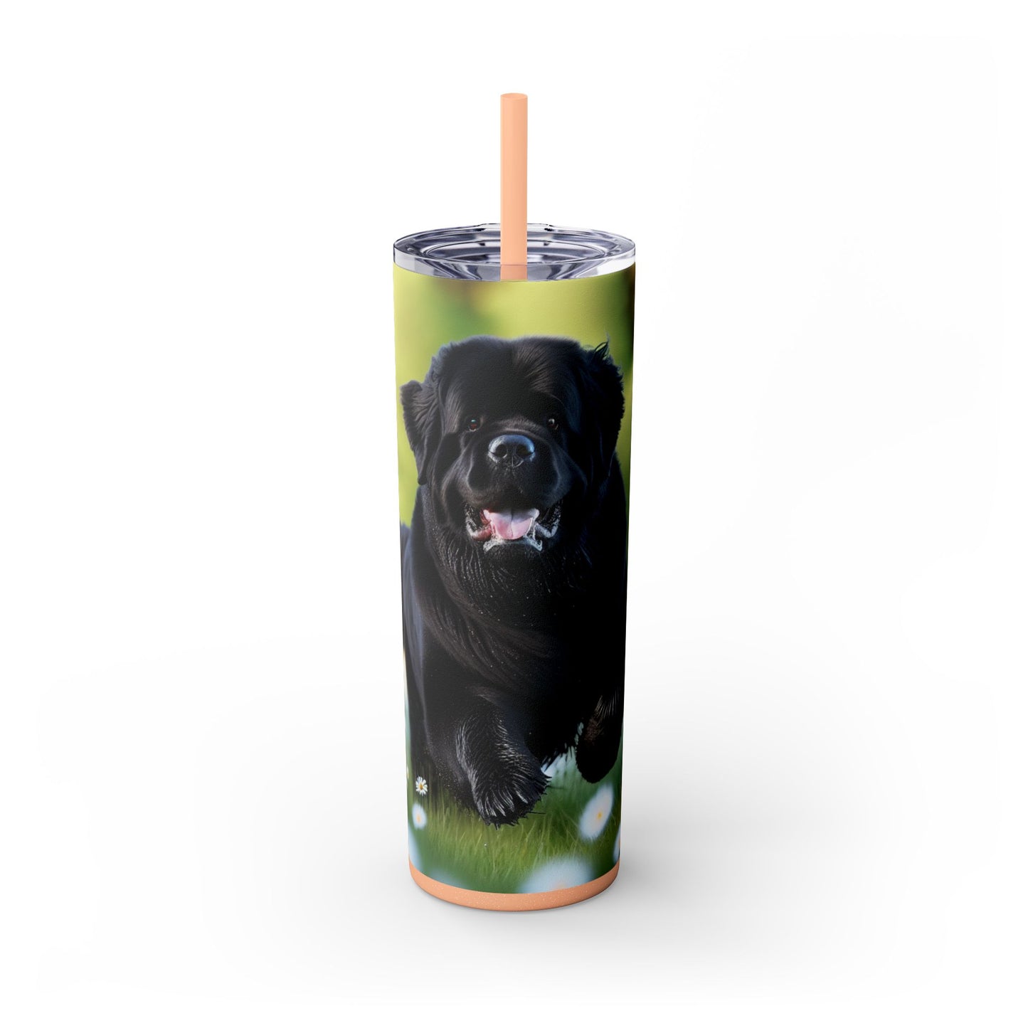 Newfoundland Skinny Tumbler with Straw, 20oz