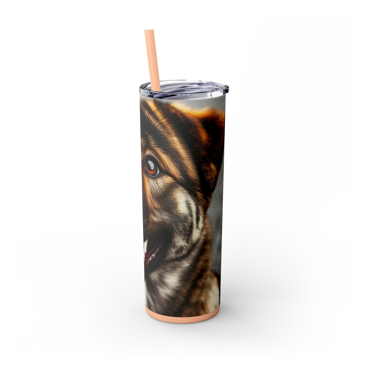 Kai Ken Tumbler with Straw, 20oz
