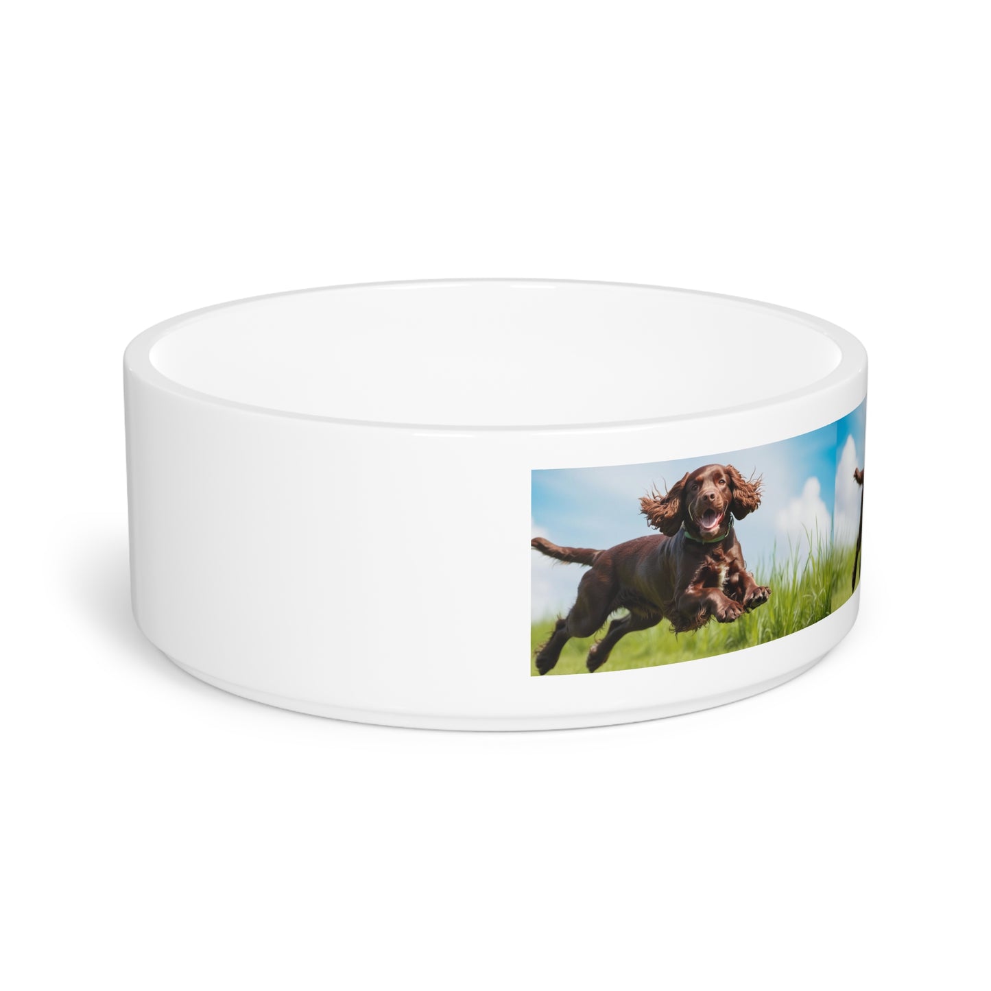Irish Water Spaniel Pet Bowl