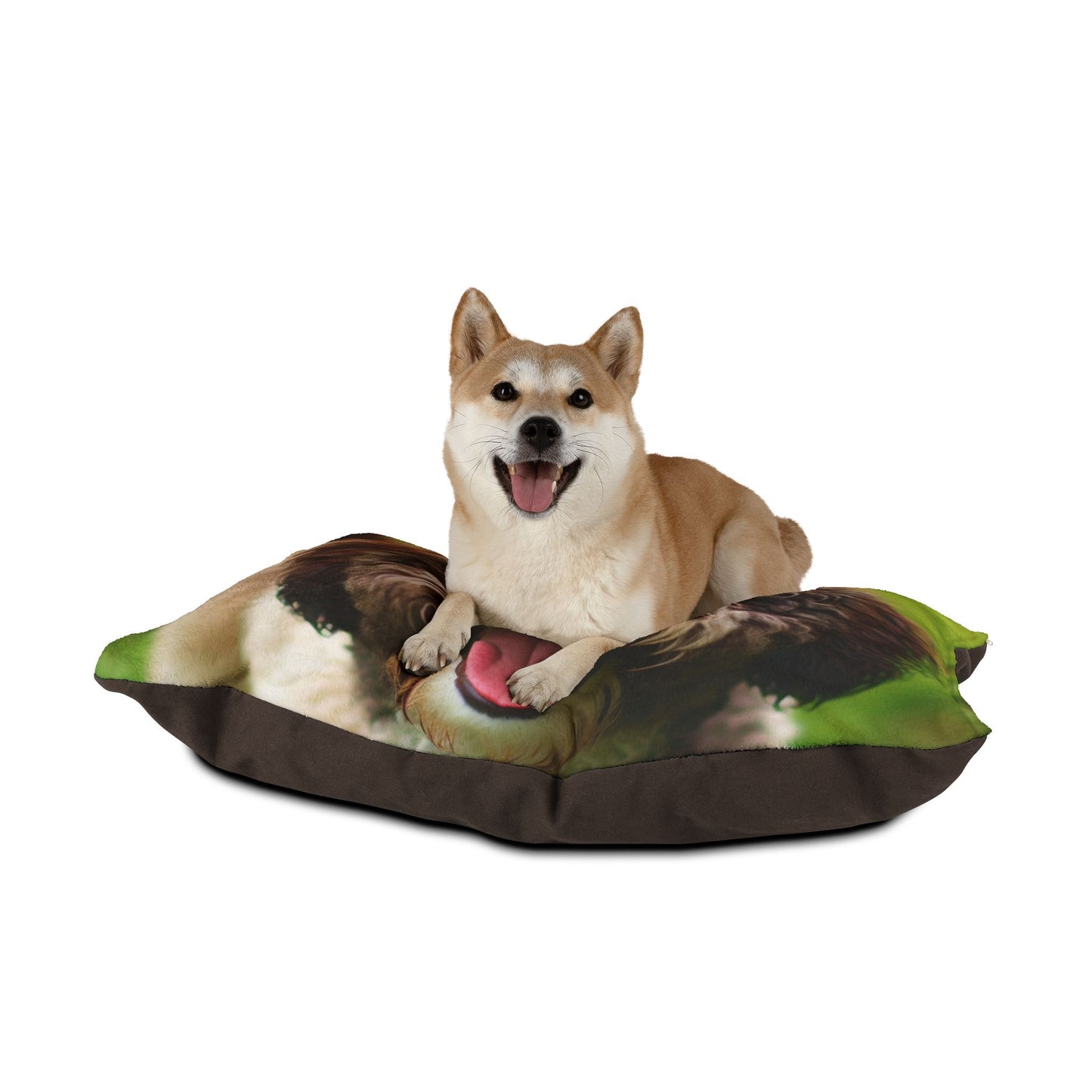Spanish Water Dog Pet Bed