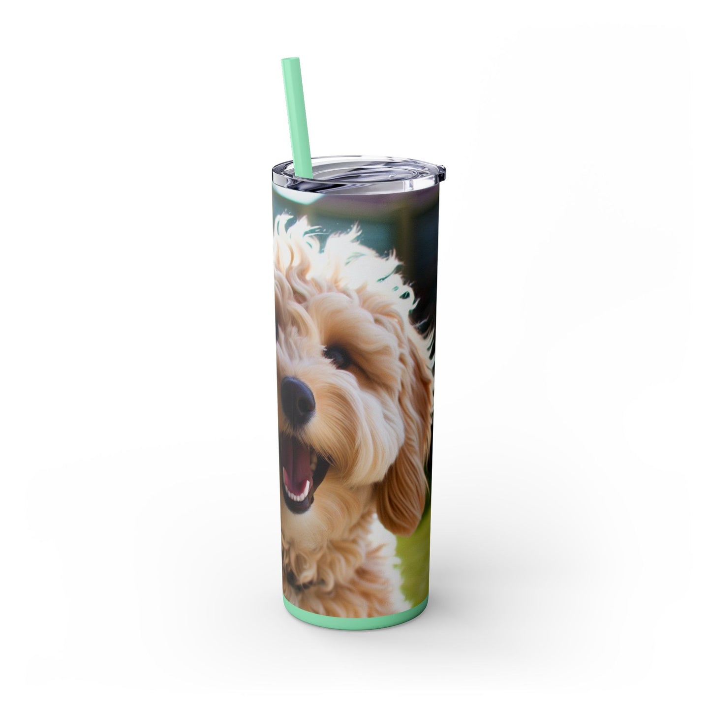 Groodle Tumbler with Straw, 20oz