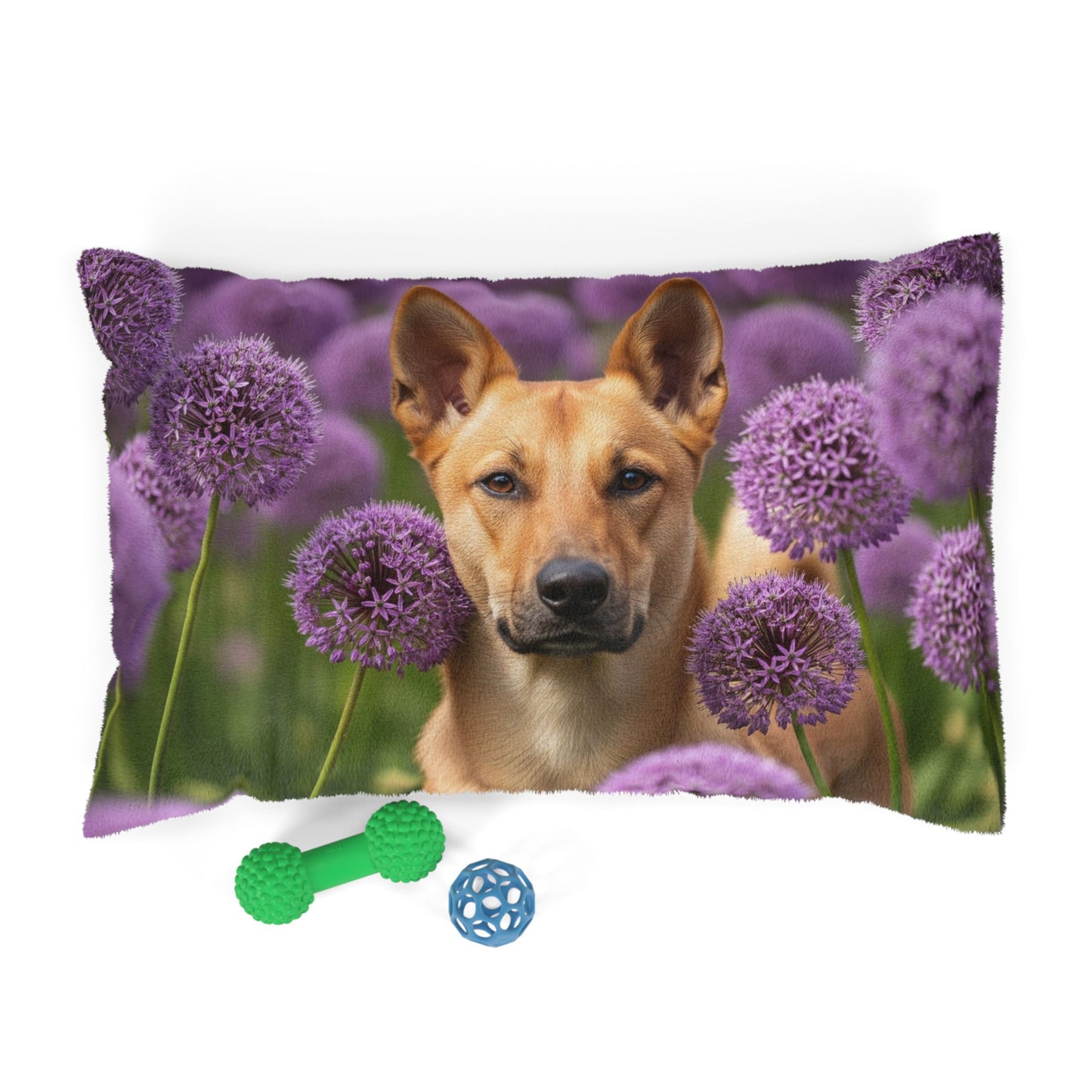 Canaan Dog Pet Bed