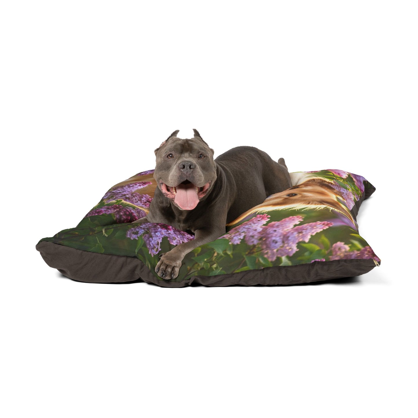 Chinook Pet Bed