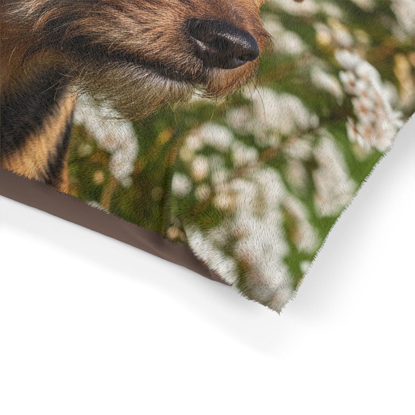 Tenterfield Terrier Pet Bed