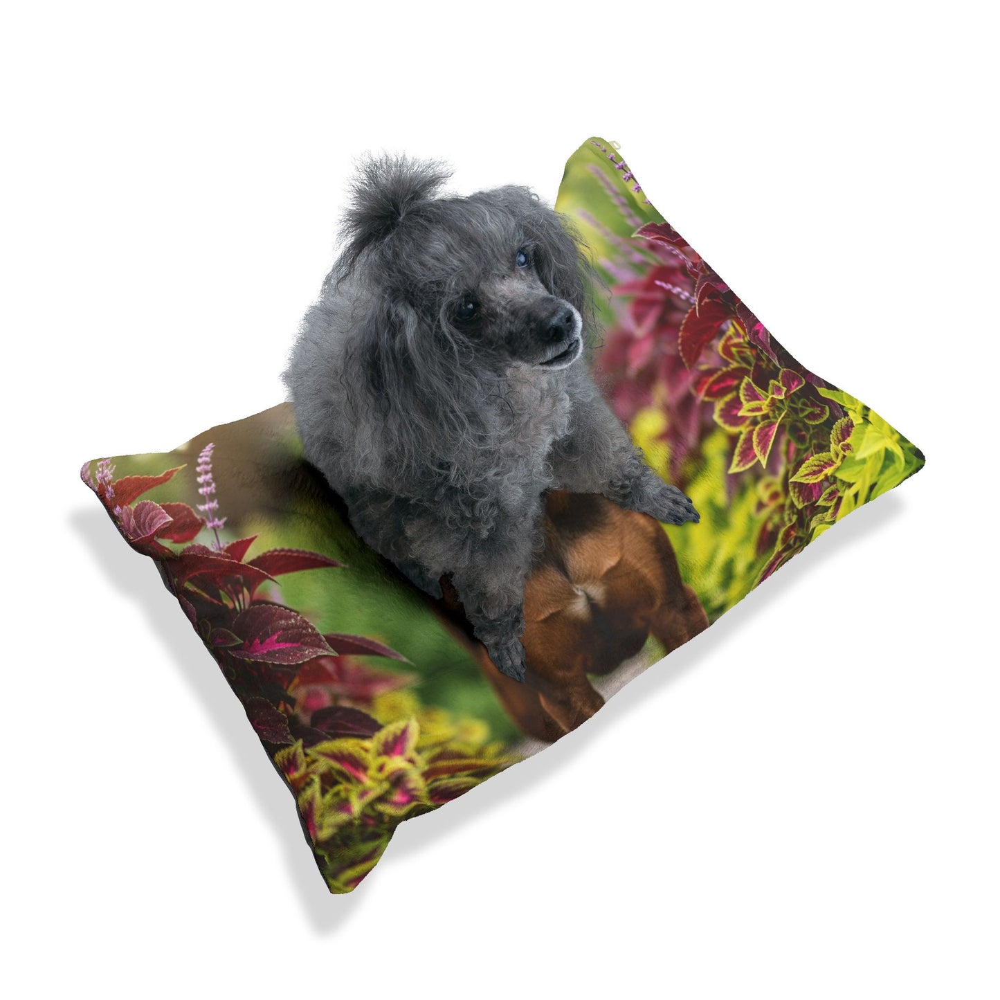 Hamiltonstovare Pet Bed