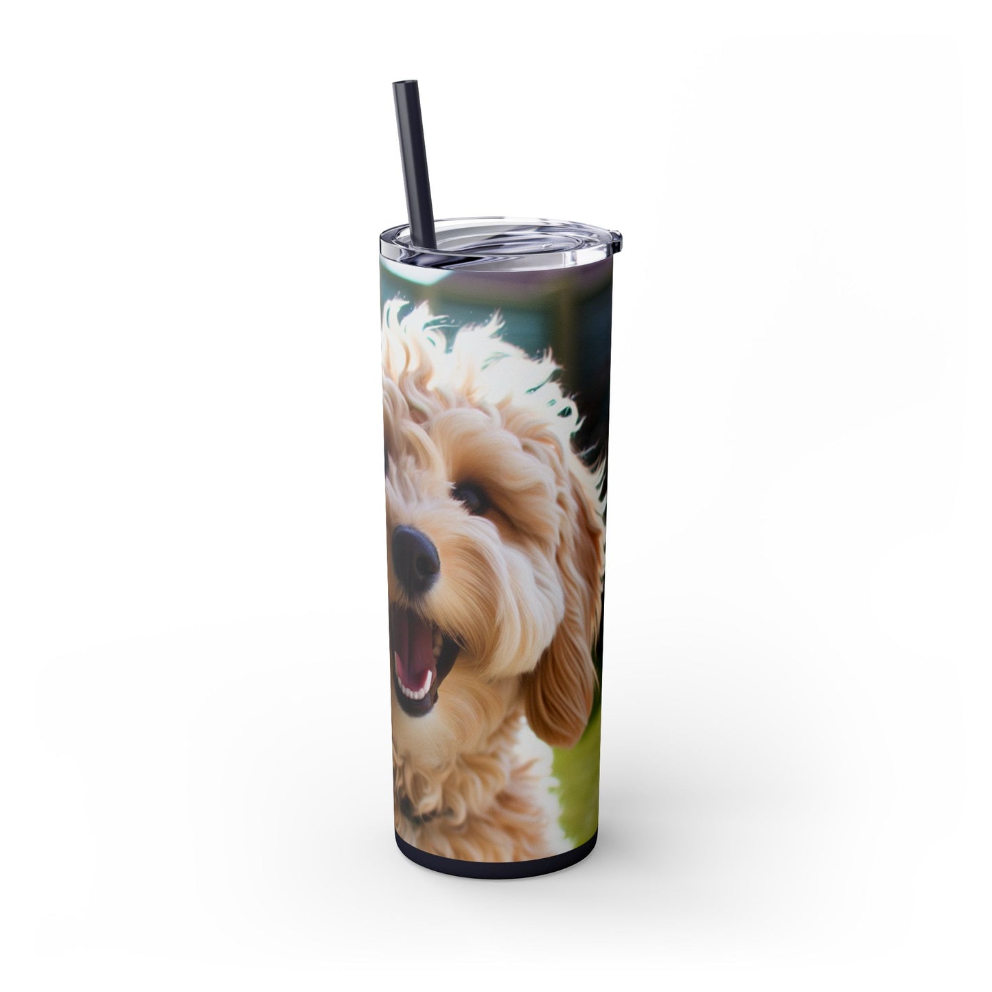 Groodle Tumbler with Straw, 20oz