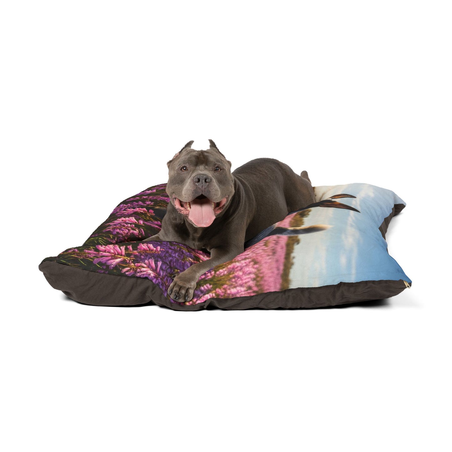 Australian Stumpy Tail Cattle Dog Pet Bed