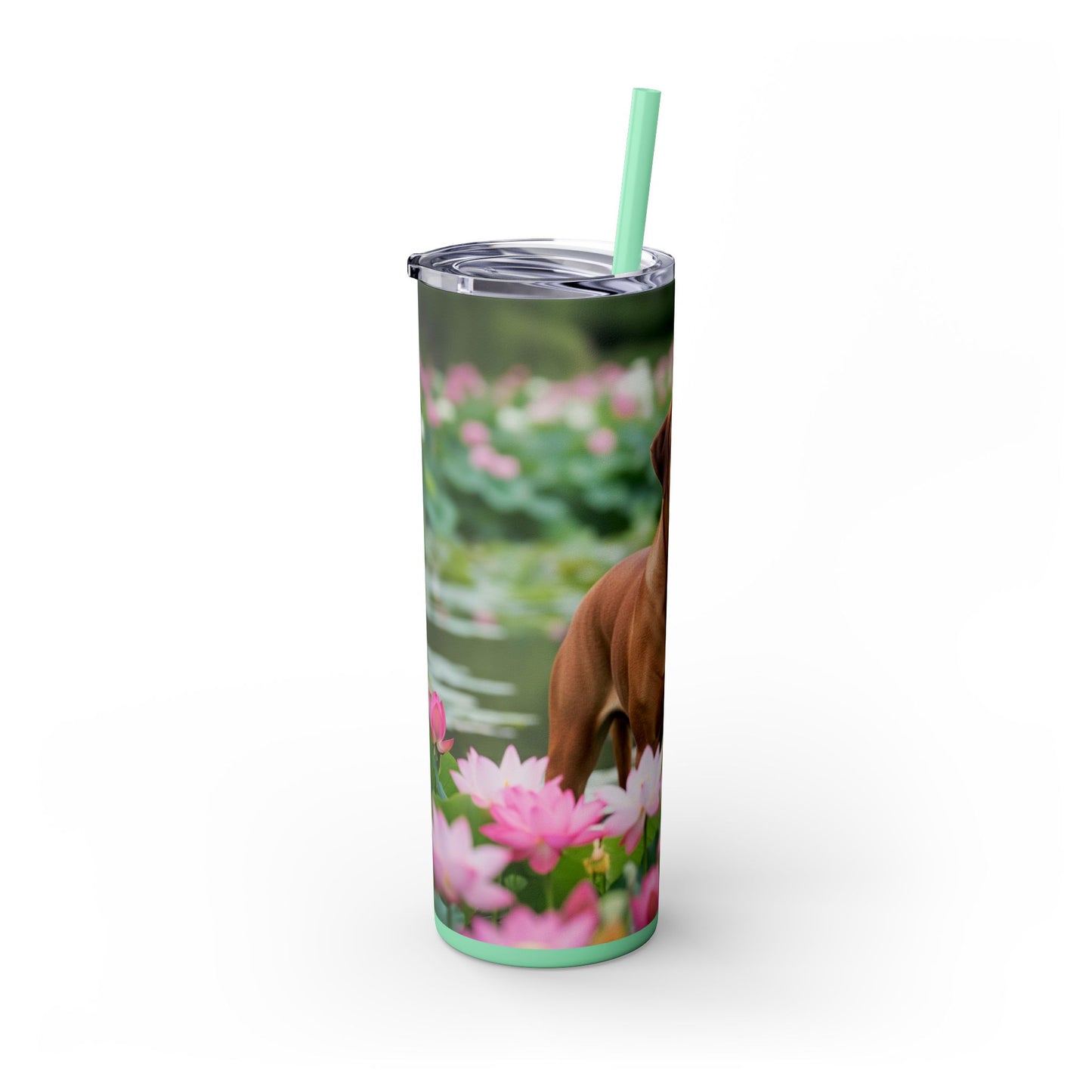 Tosa Tumbler with Straw, 20oz