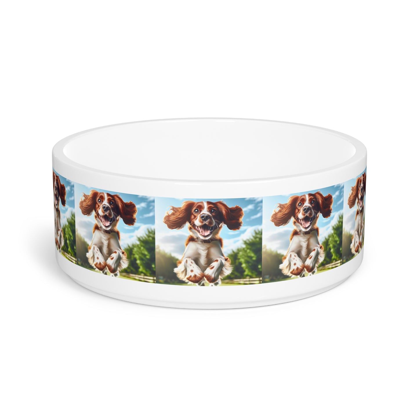 Welsh Springer Spaniel Pet Bowl