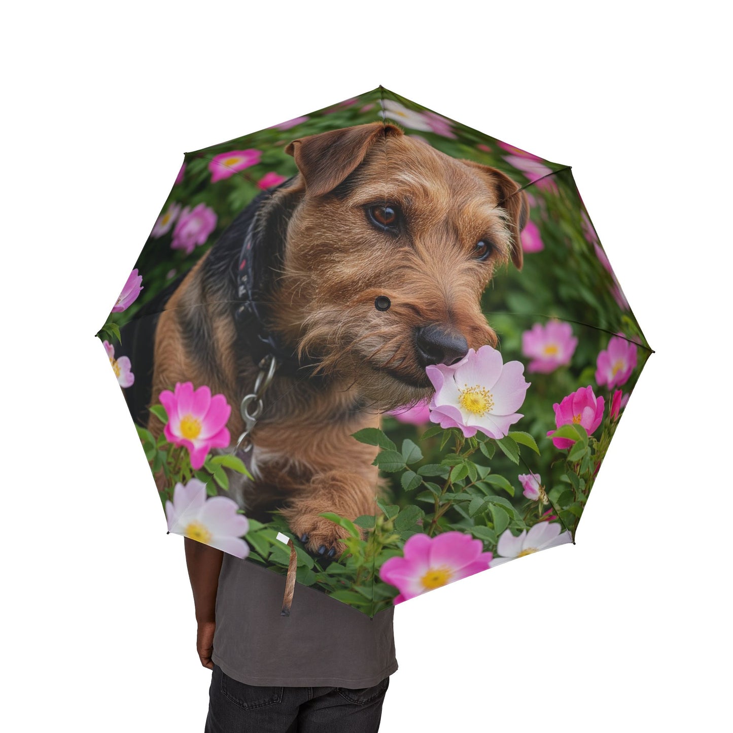 Teddy Roosevelt Terrier Semi-Automatic Foldable Umbrella