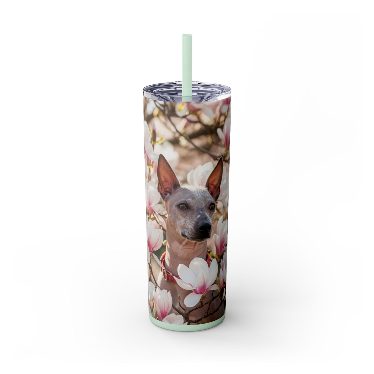 American Hairless Terrier Skinny Tumbler with Straw, 20oz