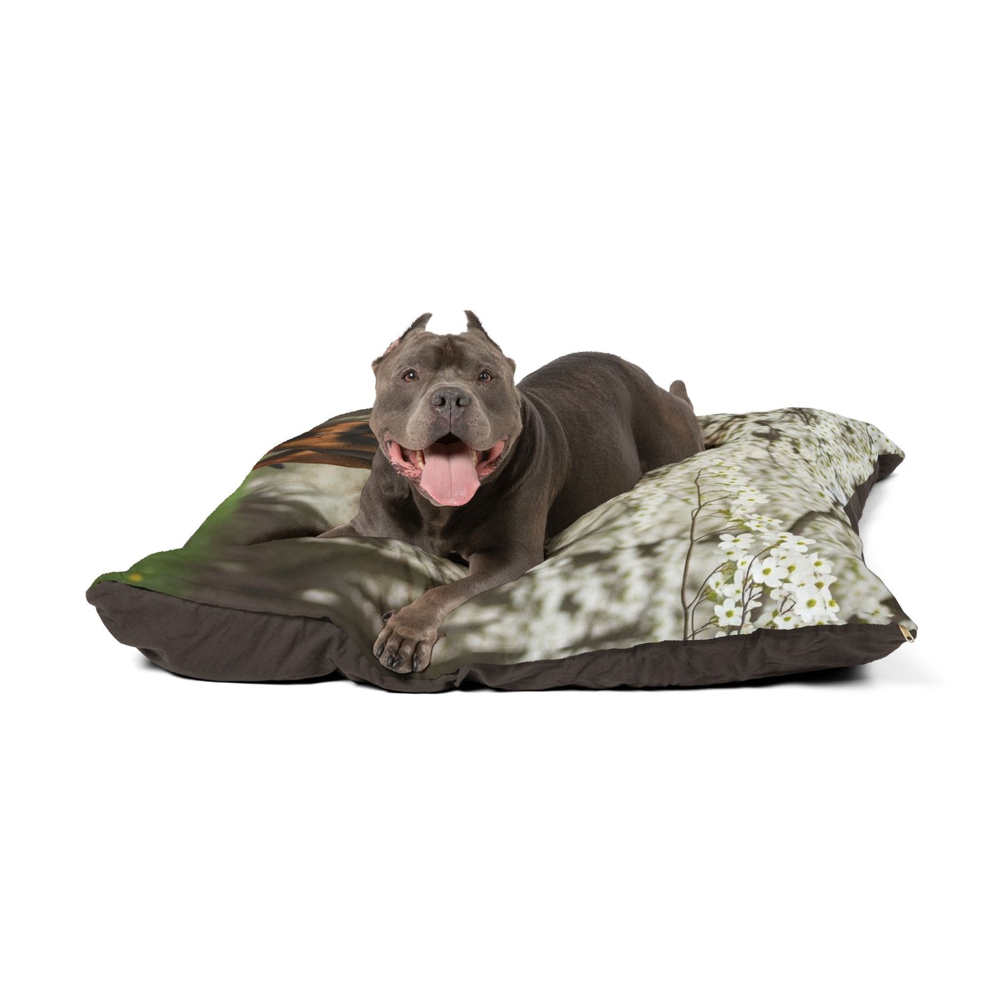 Plott Hound Pet Bed