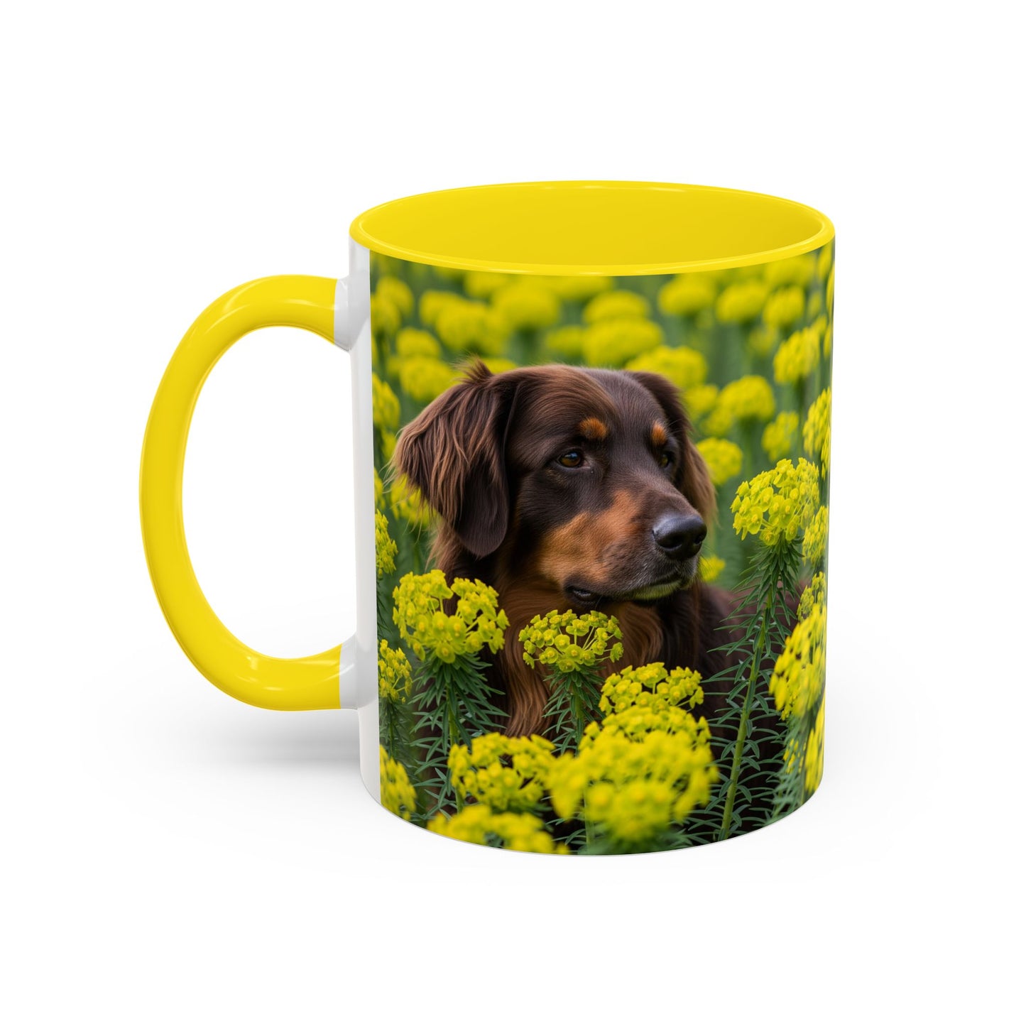 Hovawart Accent Coffee Mug - Perfect Gift for Dog Lovers