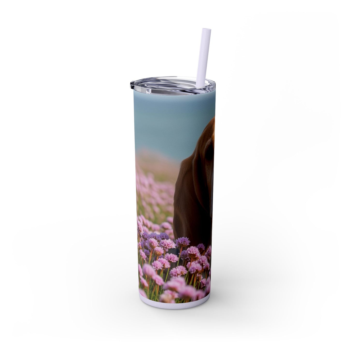 Basset Fauve de Bretagne Skinny Tumbler with Straw, 20oz