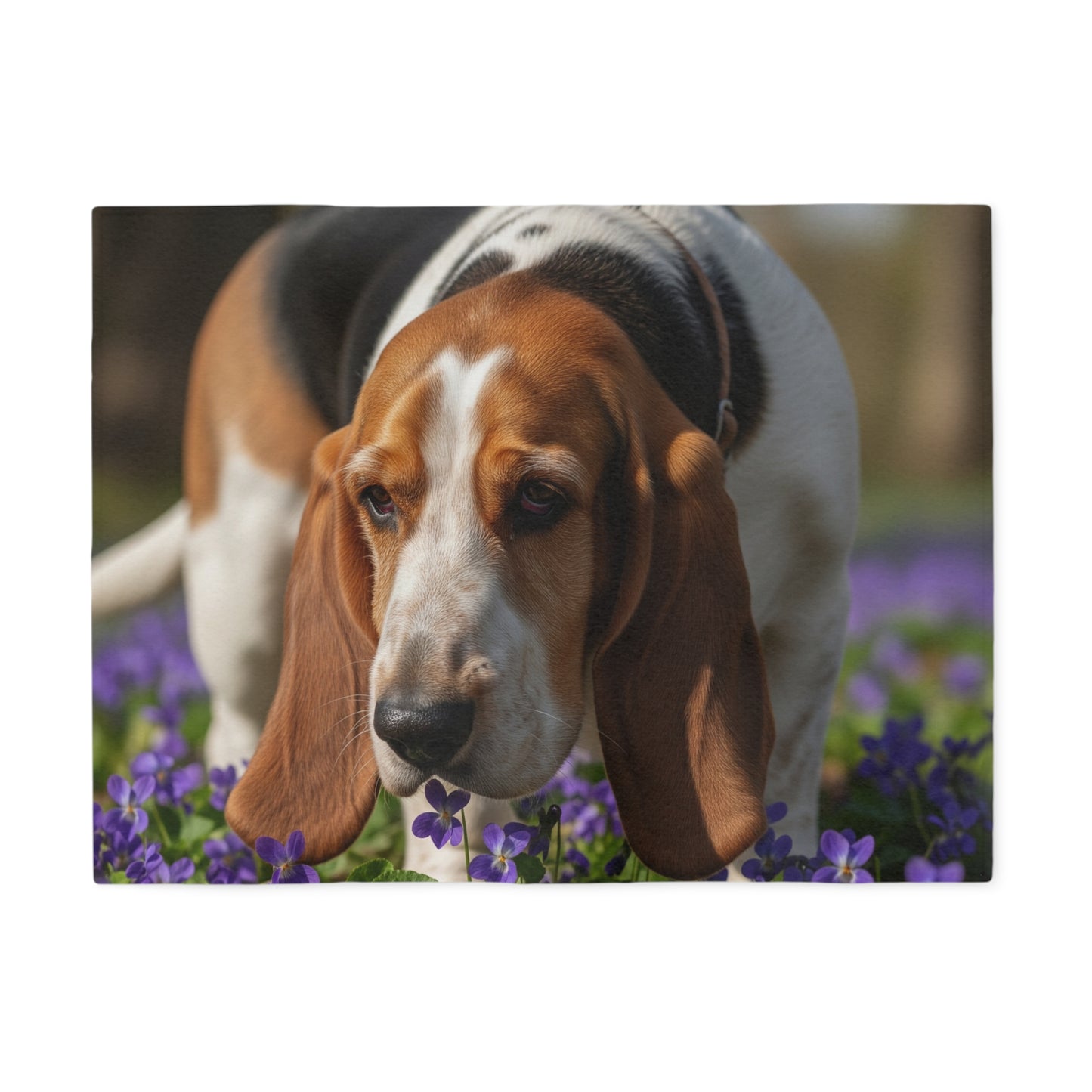 Grand Basset Griffon Vendeen Sweatshirt Blanket
