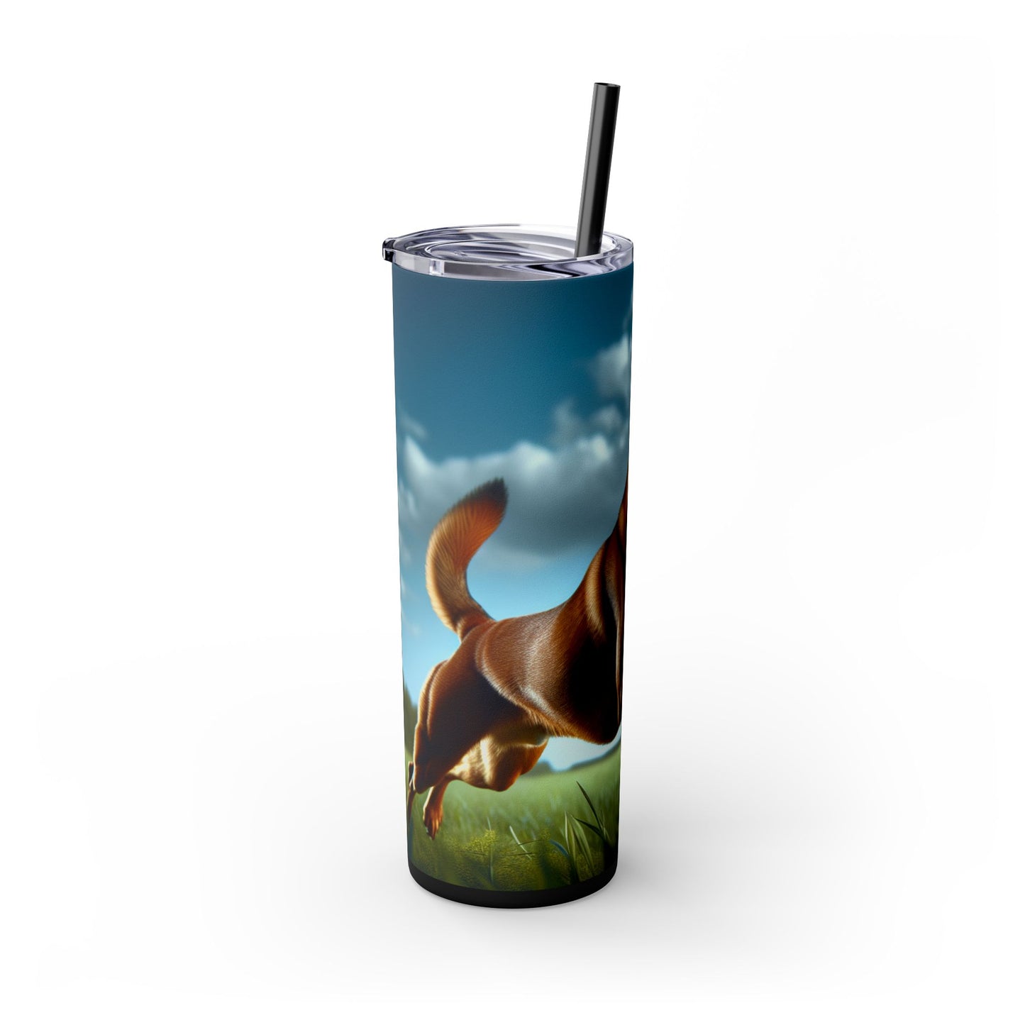 Kanni Tumbler with Straw, 20oz