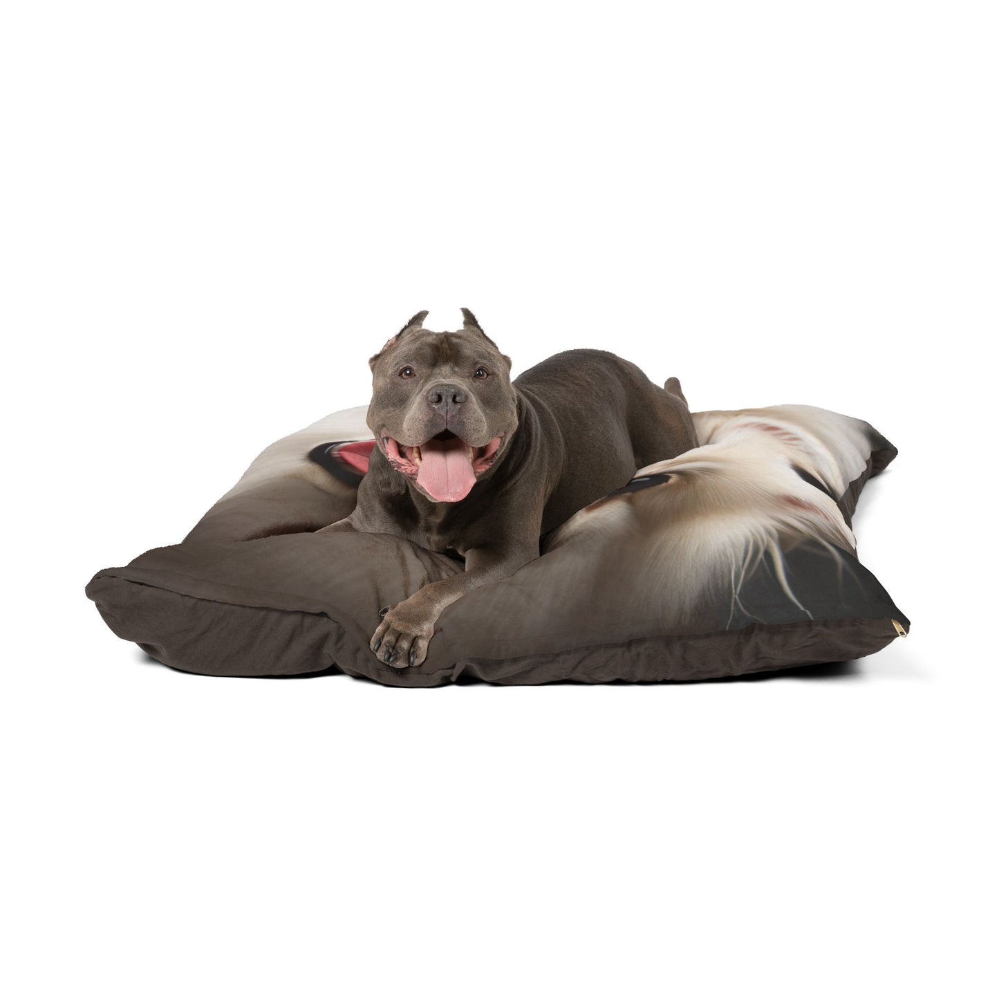 Norrbottenspets Pet Bed