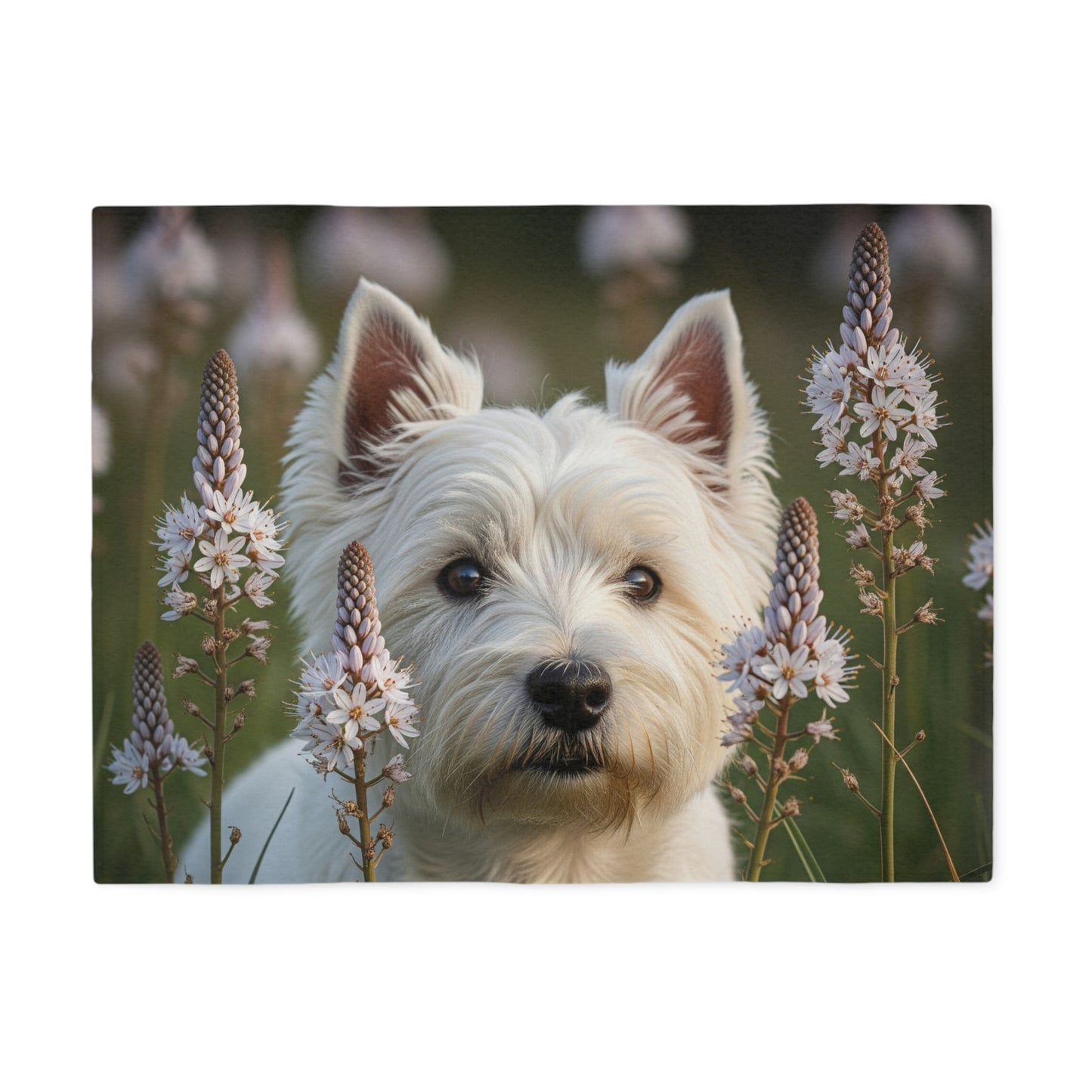 West Highland White Terrier Sweatshirt Blanket
