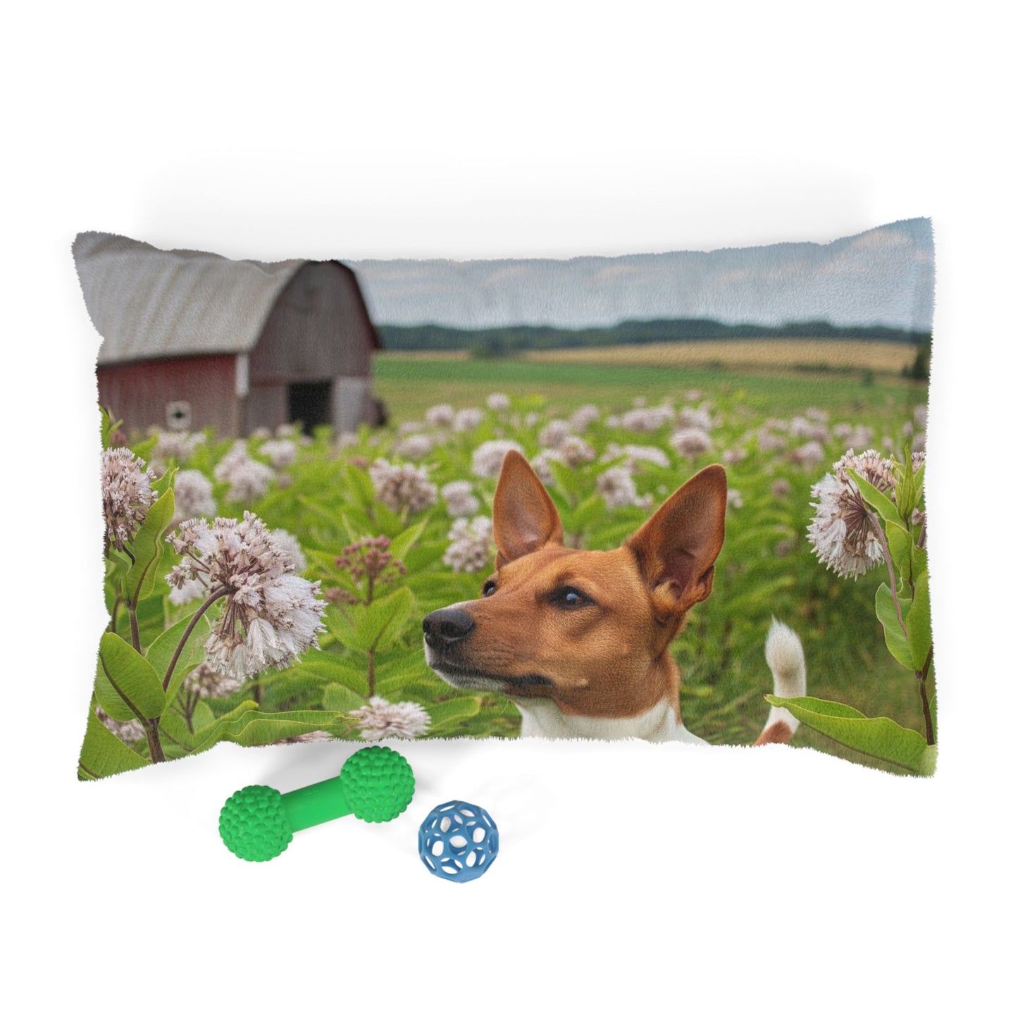Rat Terrier Pet Bed