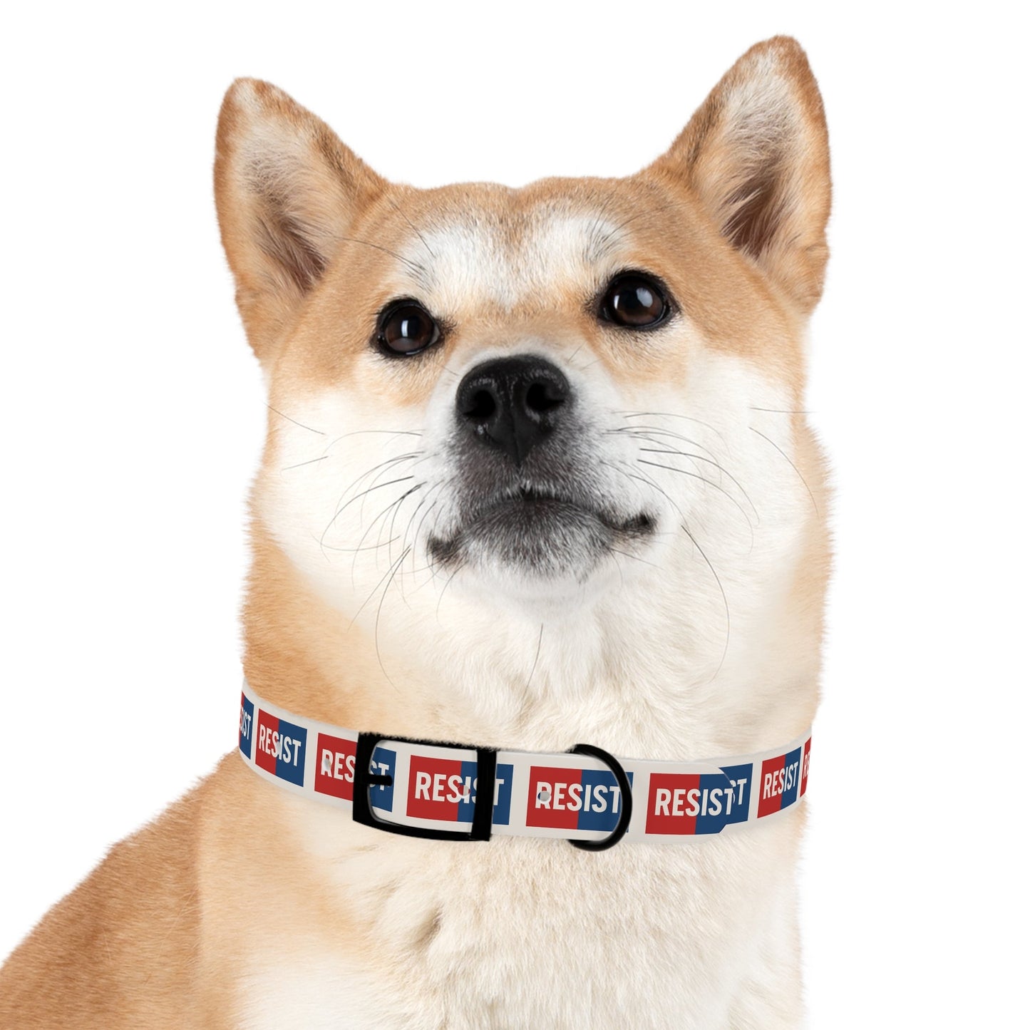 Collier de résistance pour chien
