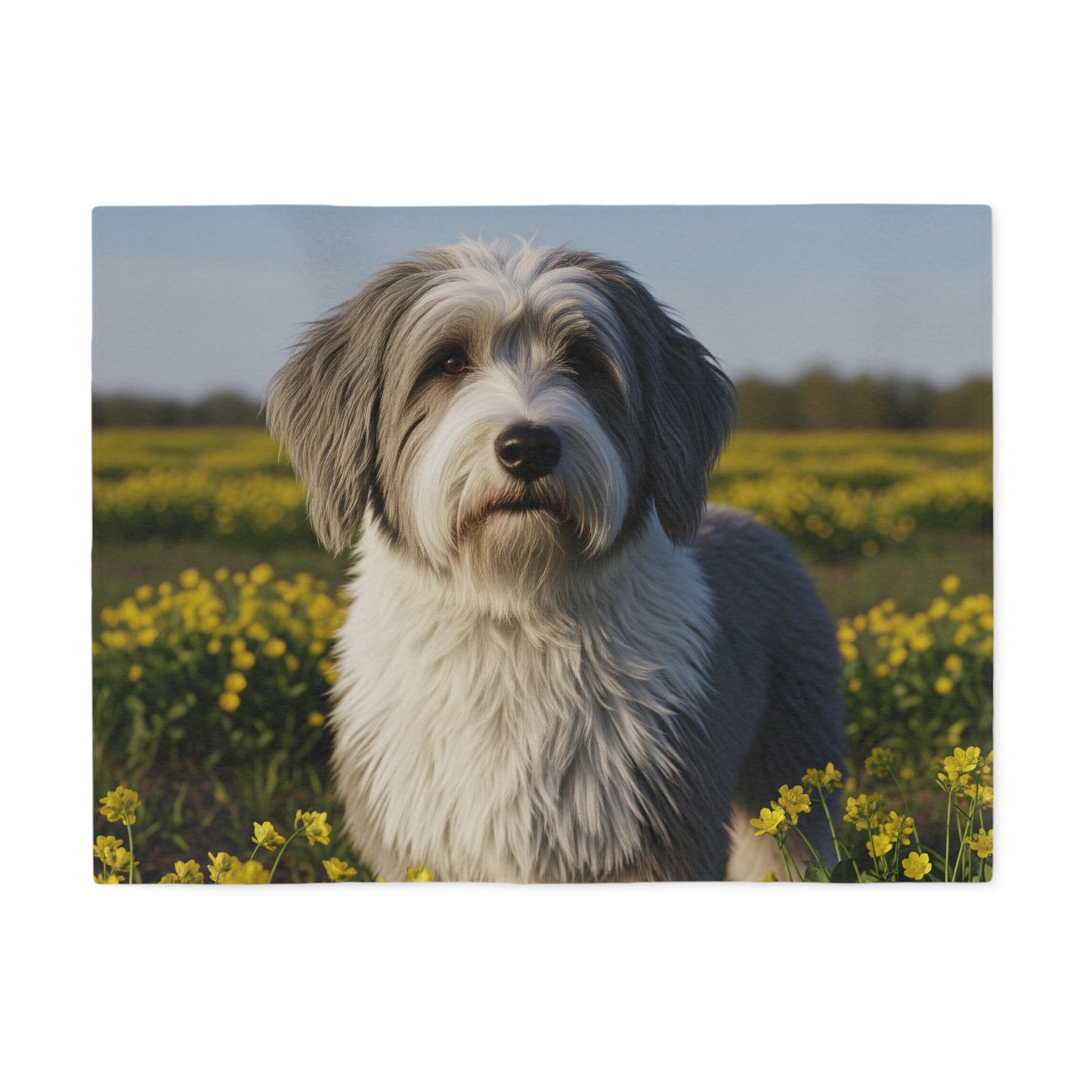Polish Lowland Sheepdog Sweatshirt Blanket