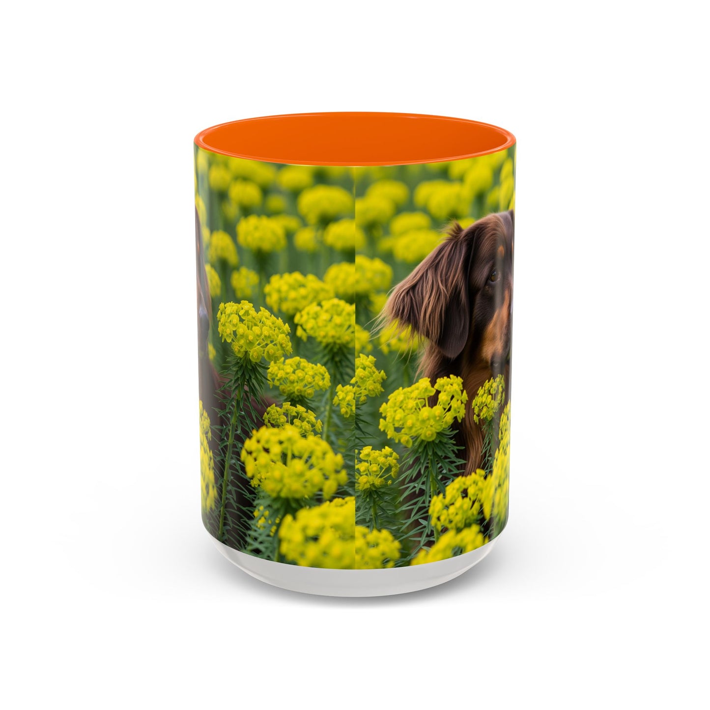 Hovawart Accent Coffee Mug - Perfect Gift for Dog Lovers