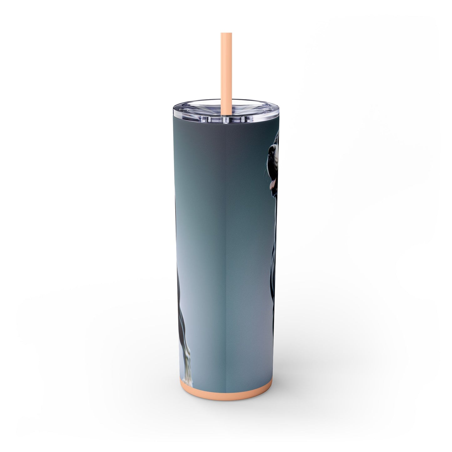 Gull Dong Tumbler with Straw, 20oz
