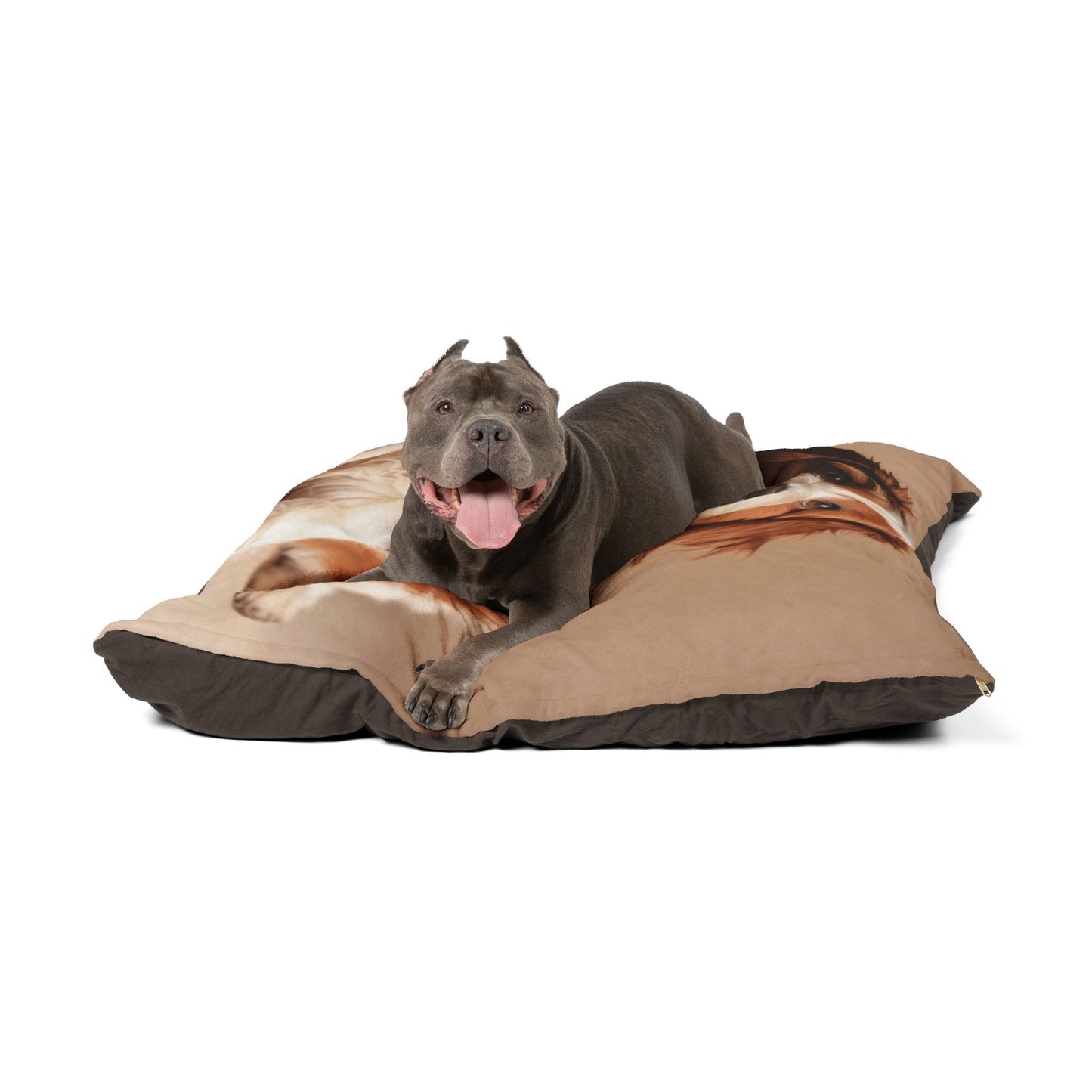 Lagotto Romagnolo Pet Bed