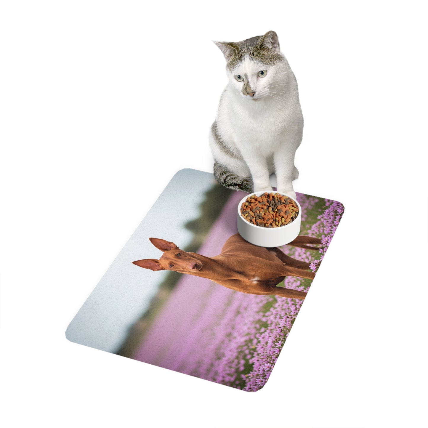 Pet Food Mat (12x18) - Pharaoh Hound