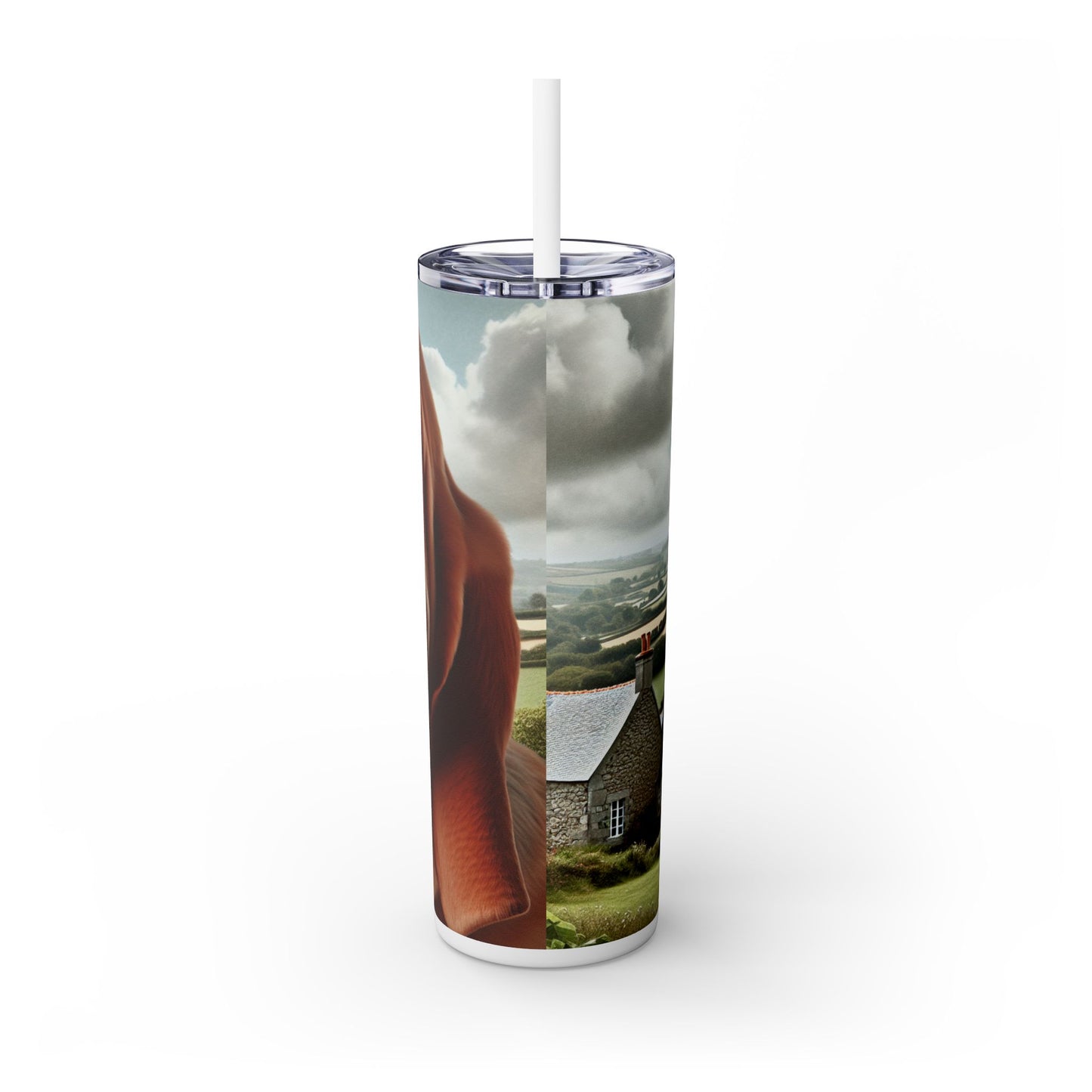 Basset Fauve de Bretagne Tumbler with Straw, 20oz