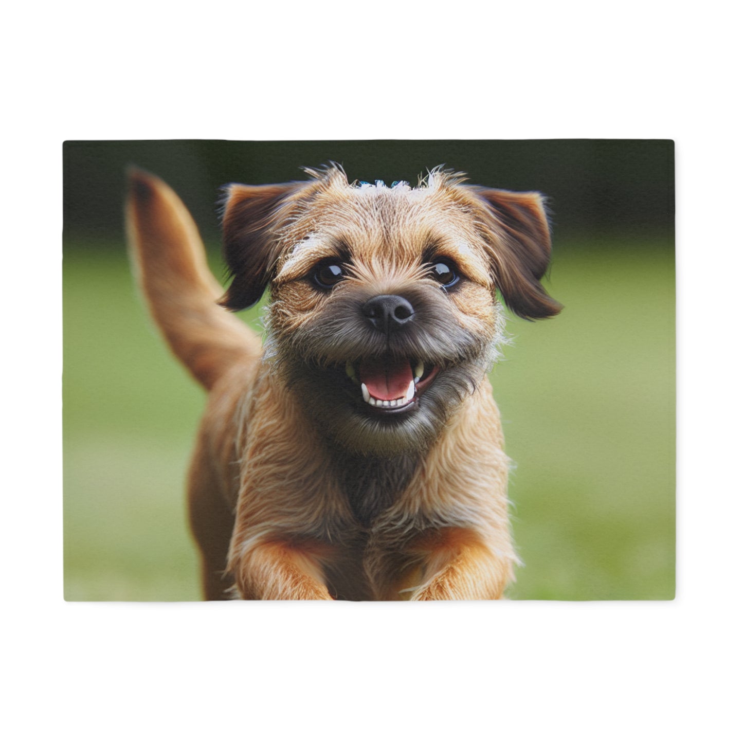 Border Terrier Sweatshirt Blanket