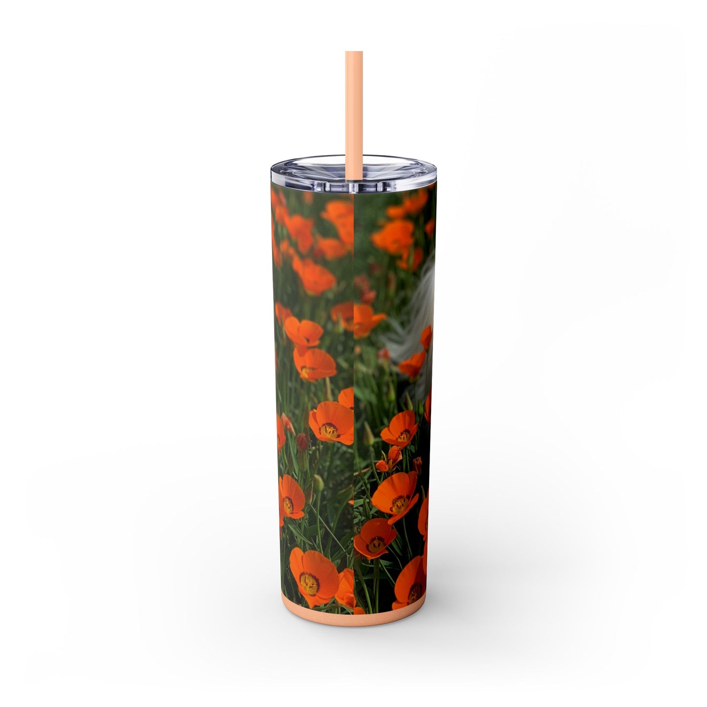 Havanese Tumbler with Straw, 20oz
