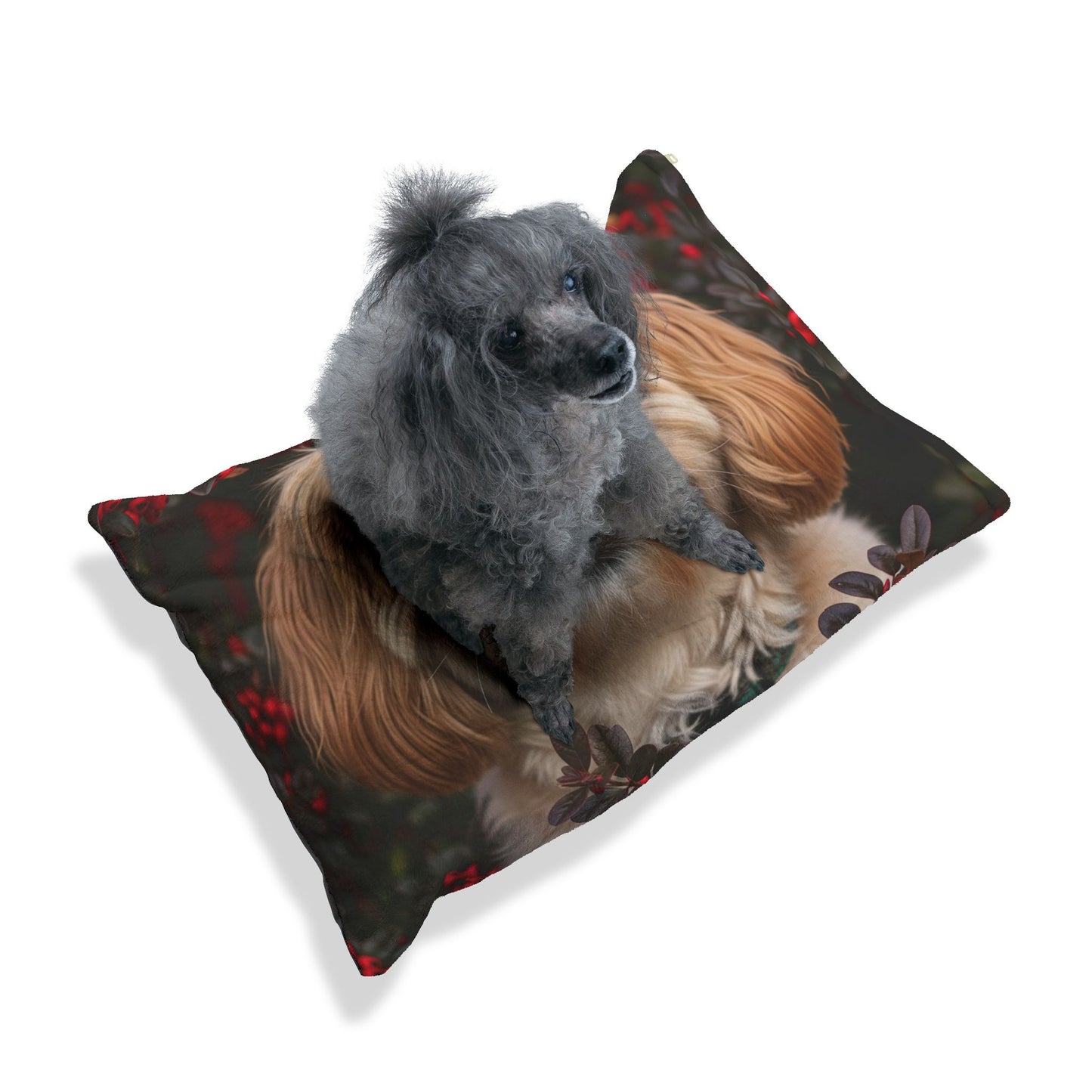 Pekapoo Pet Bed